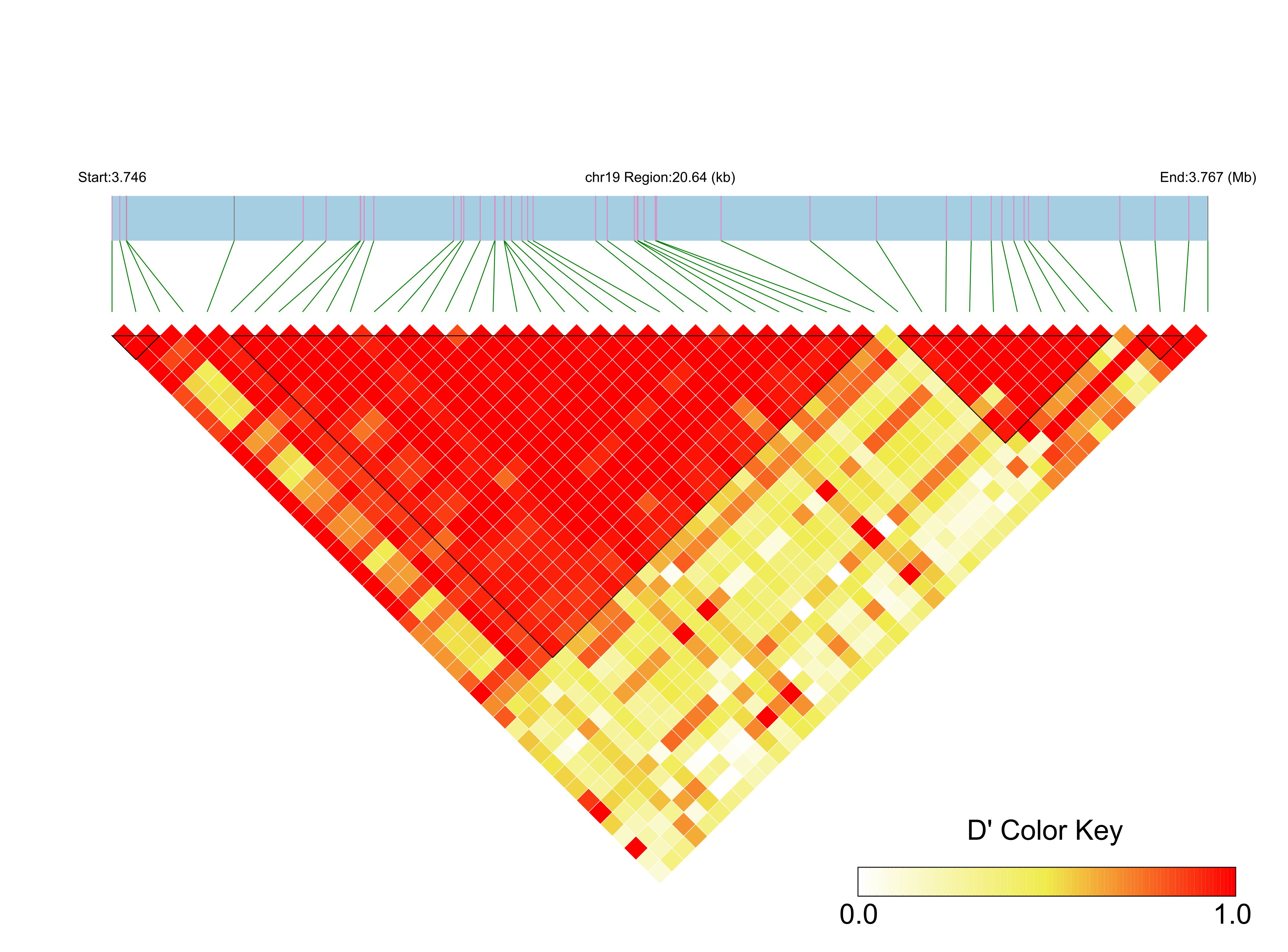LD