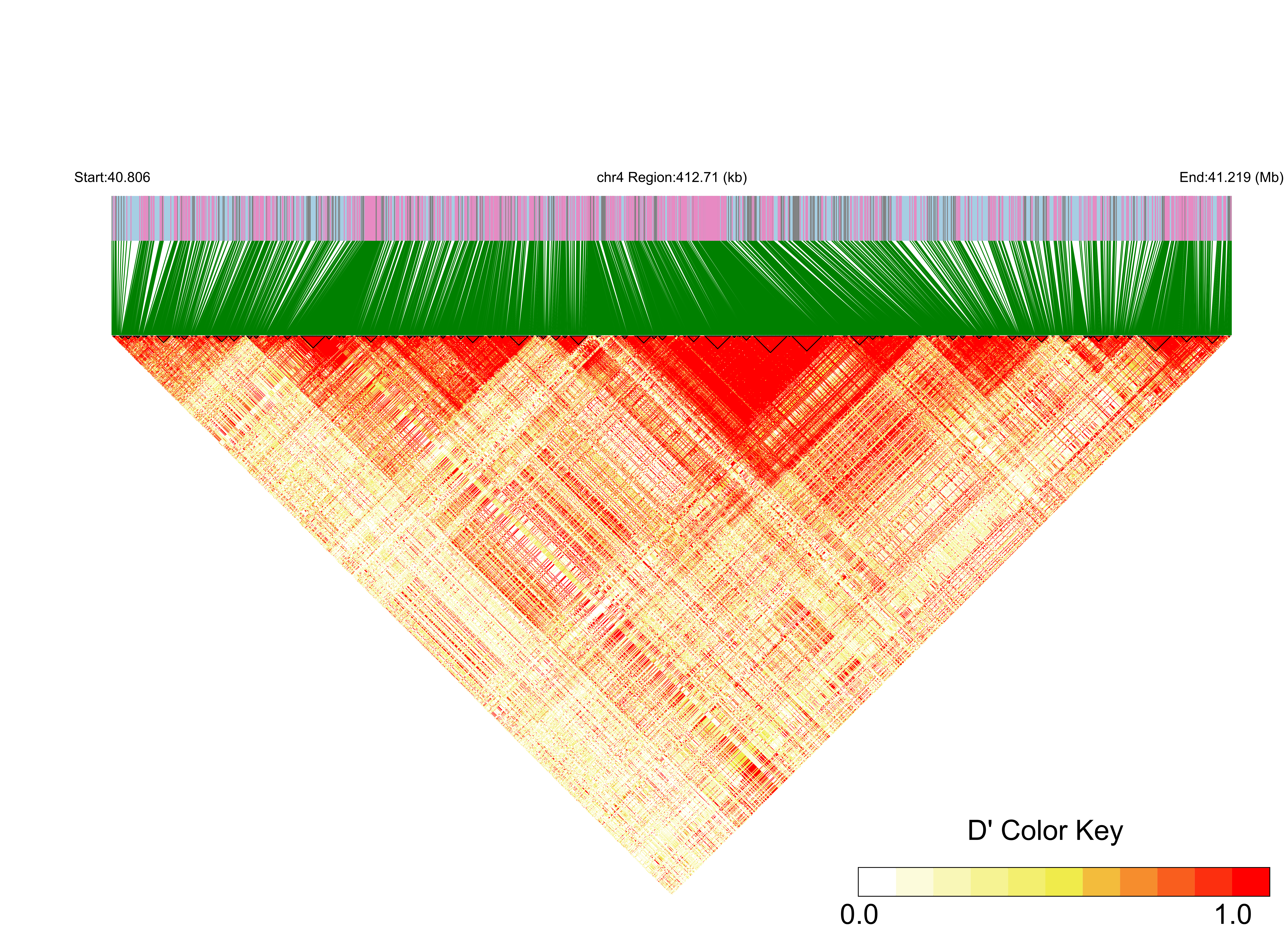 LD
