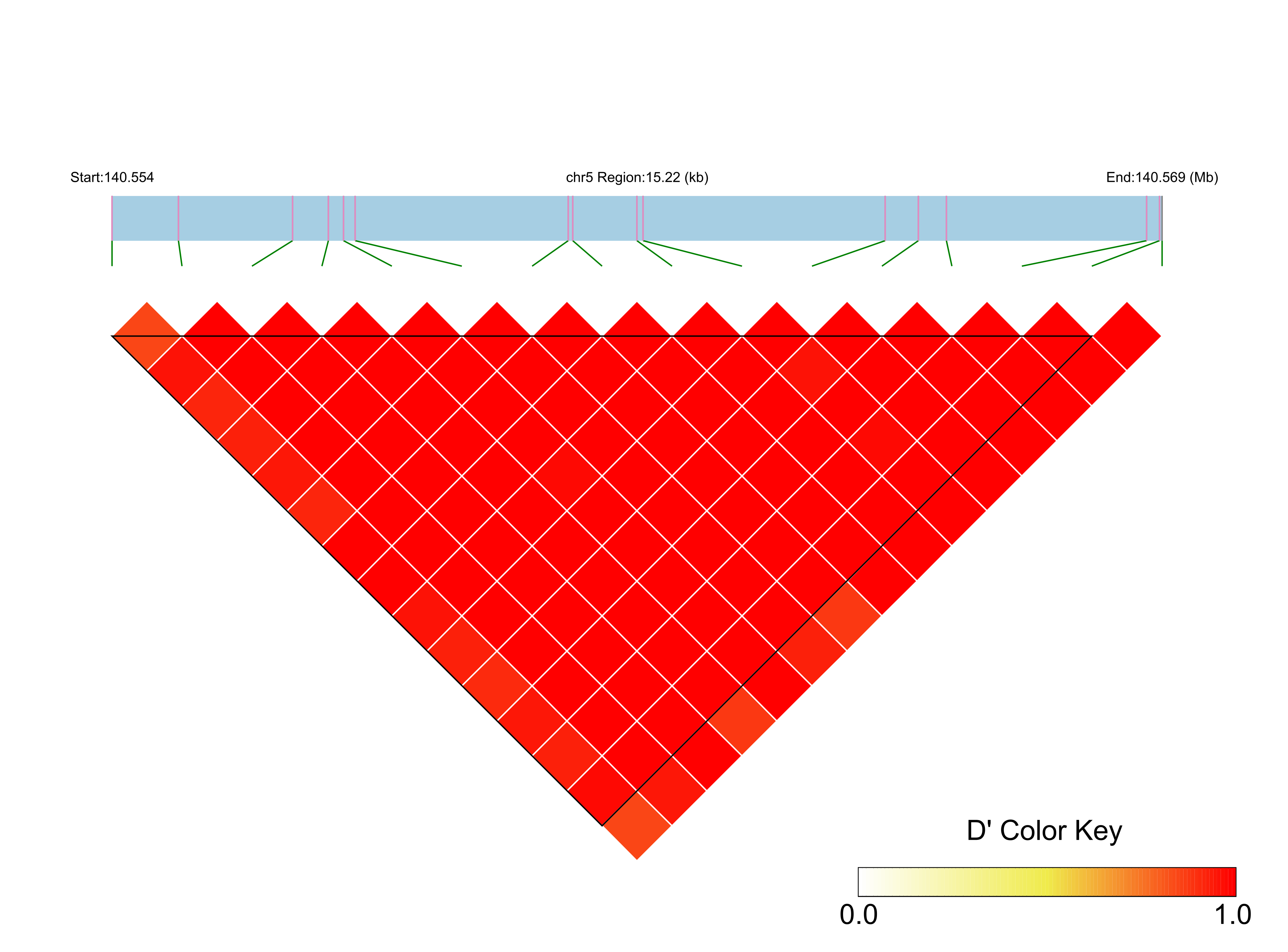 LD