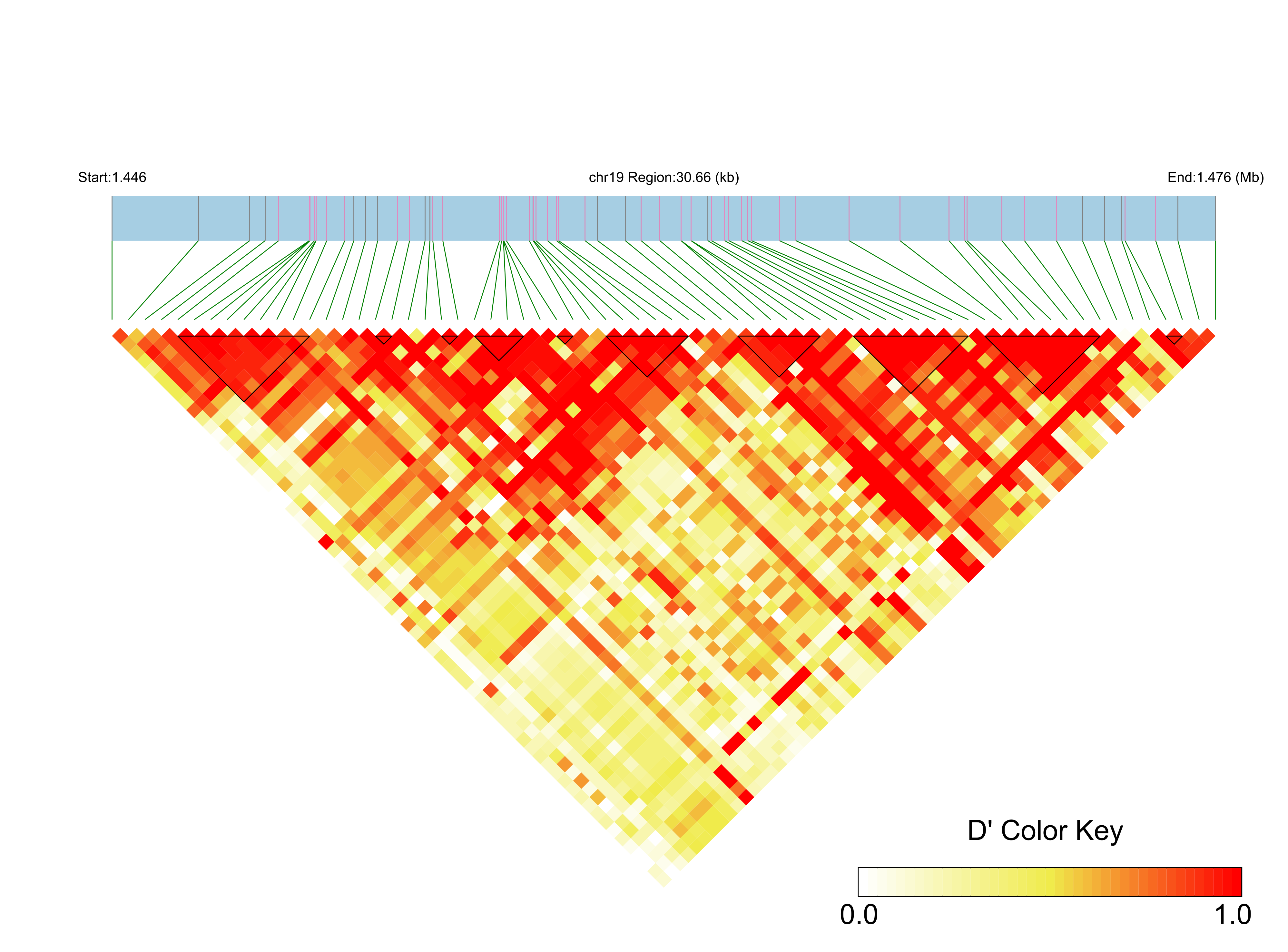 LD