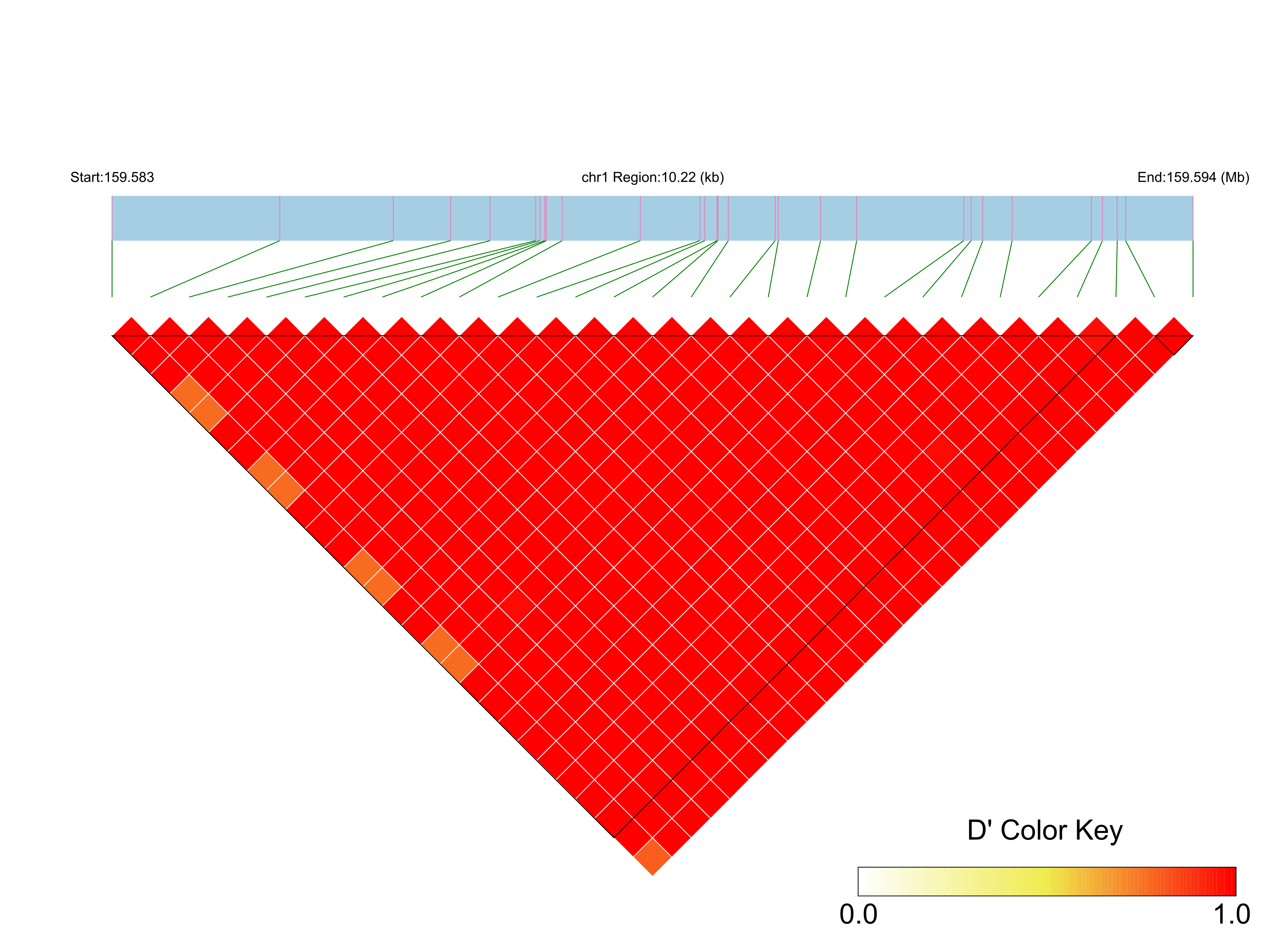 LD