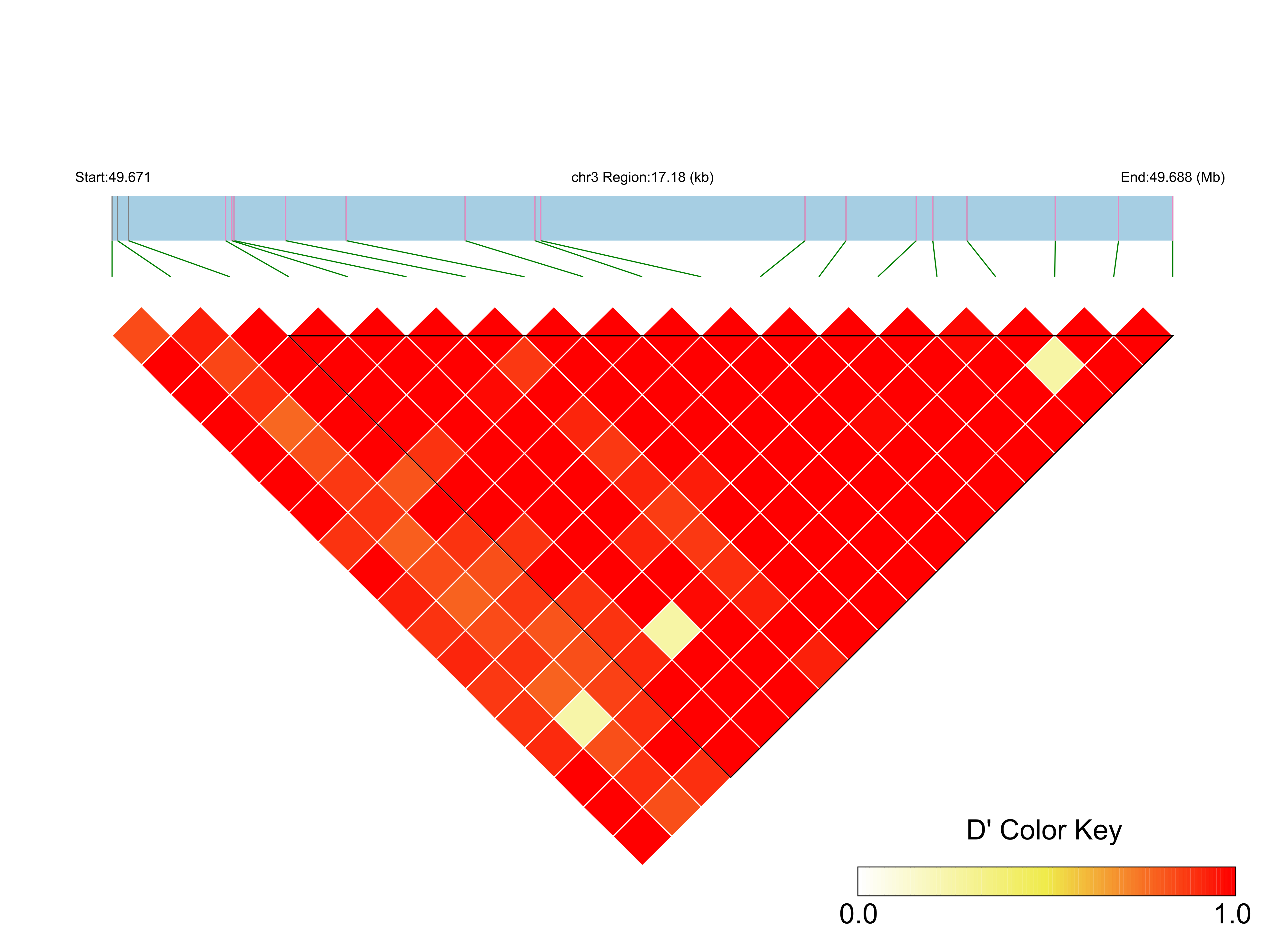 LD
