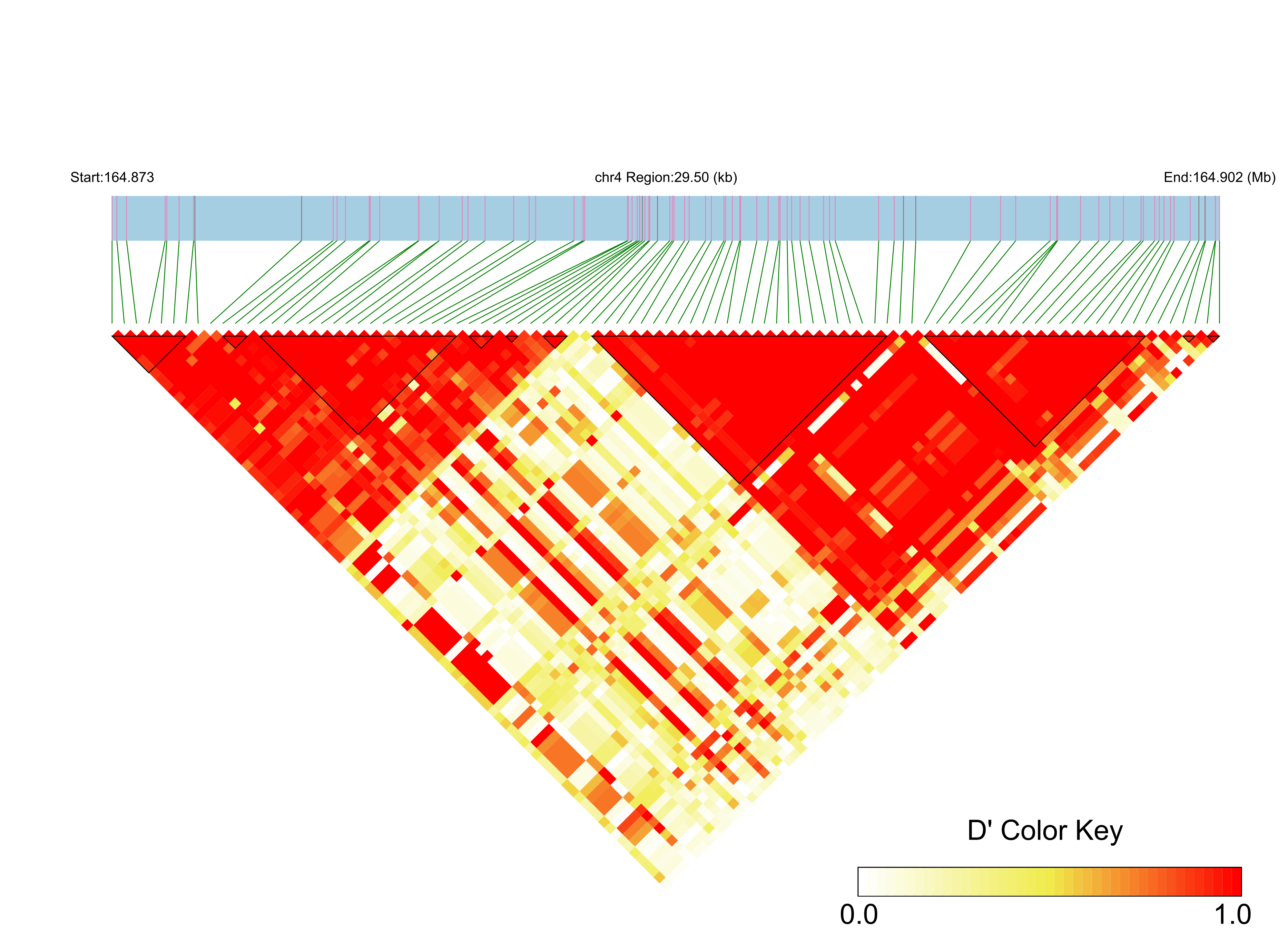 LD