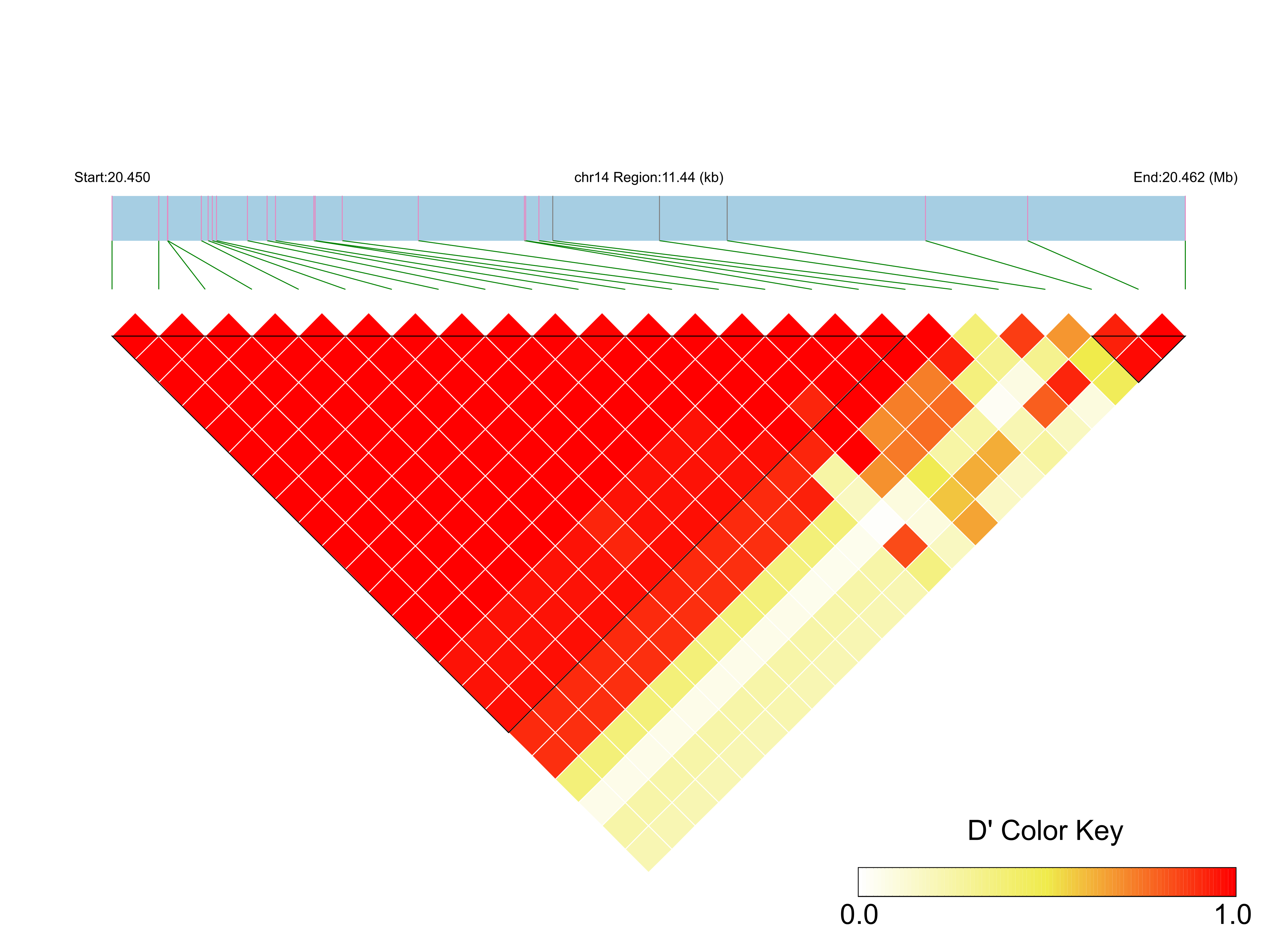 LD