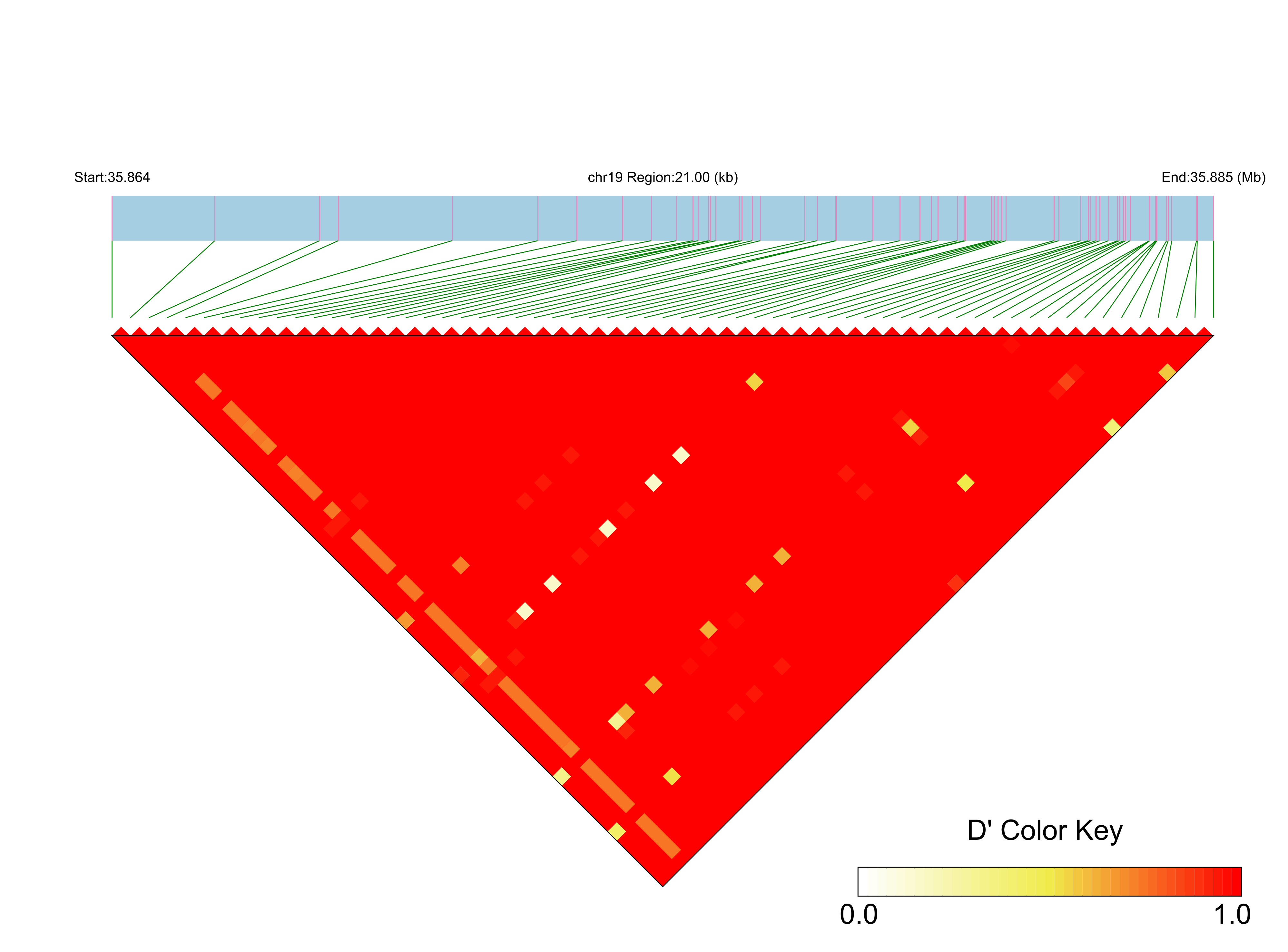 LD