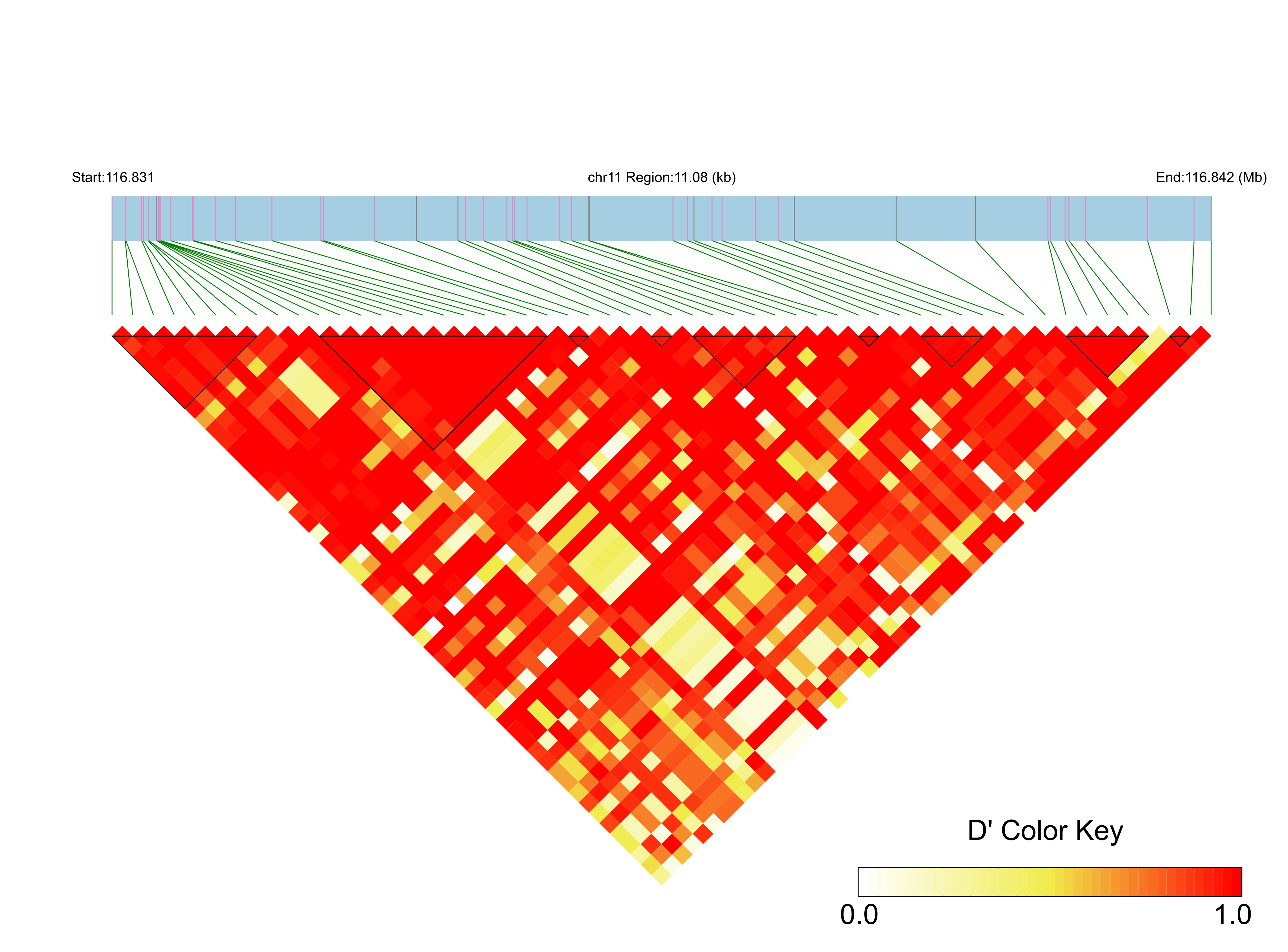 LD