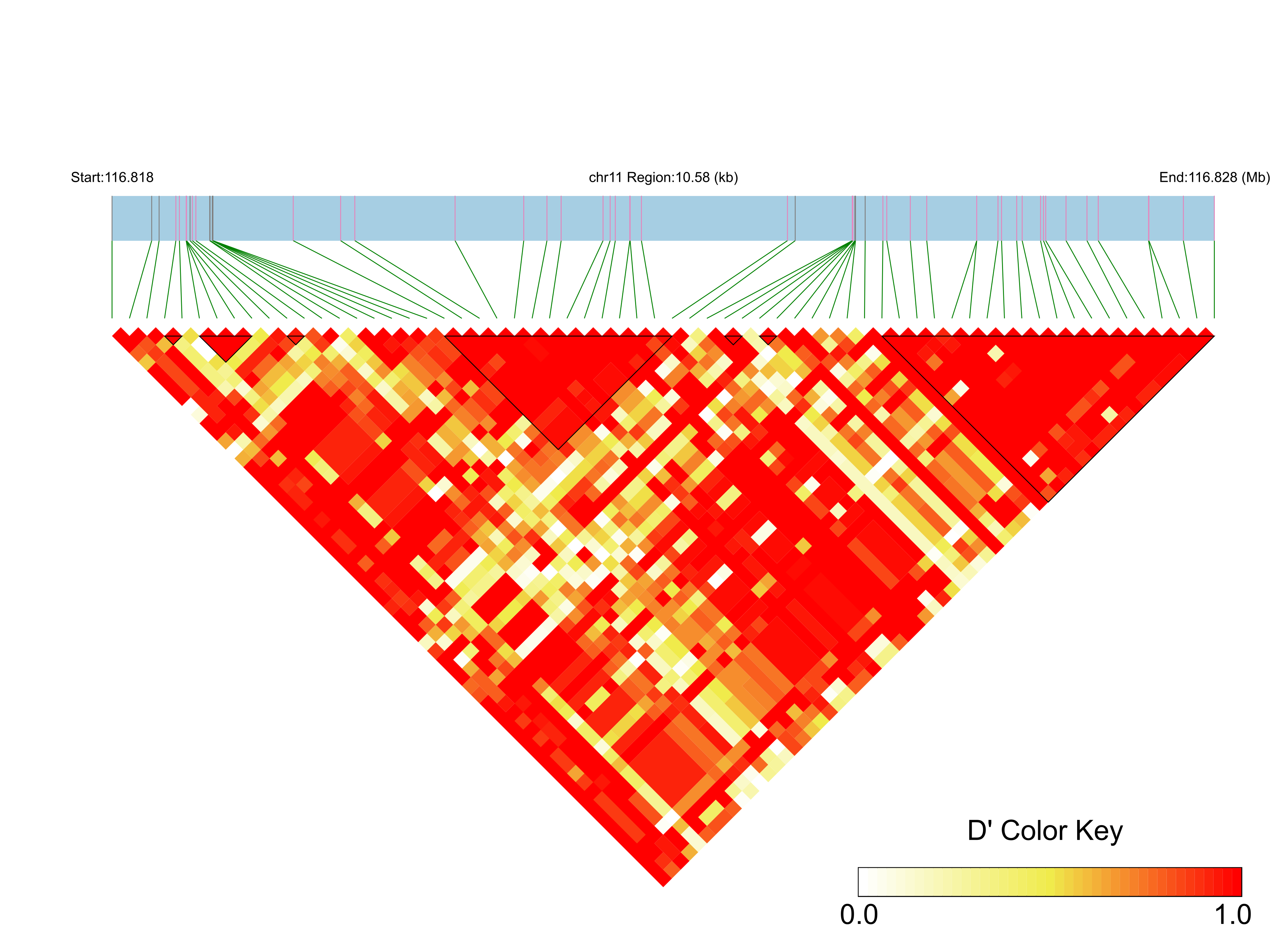 LD