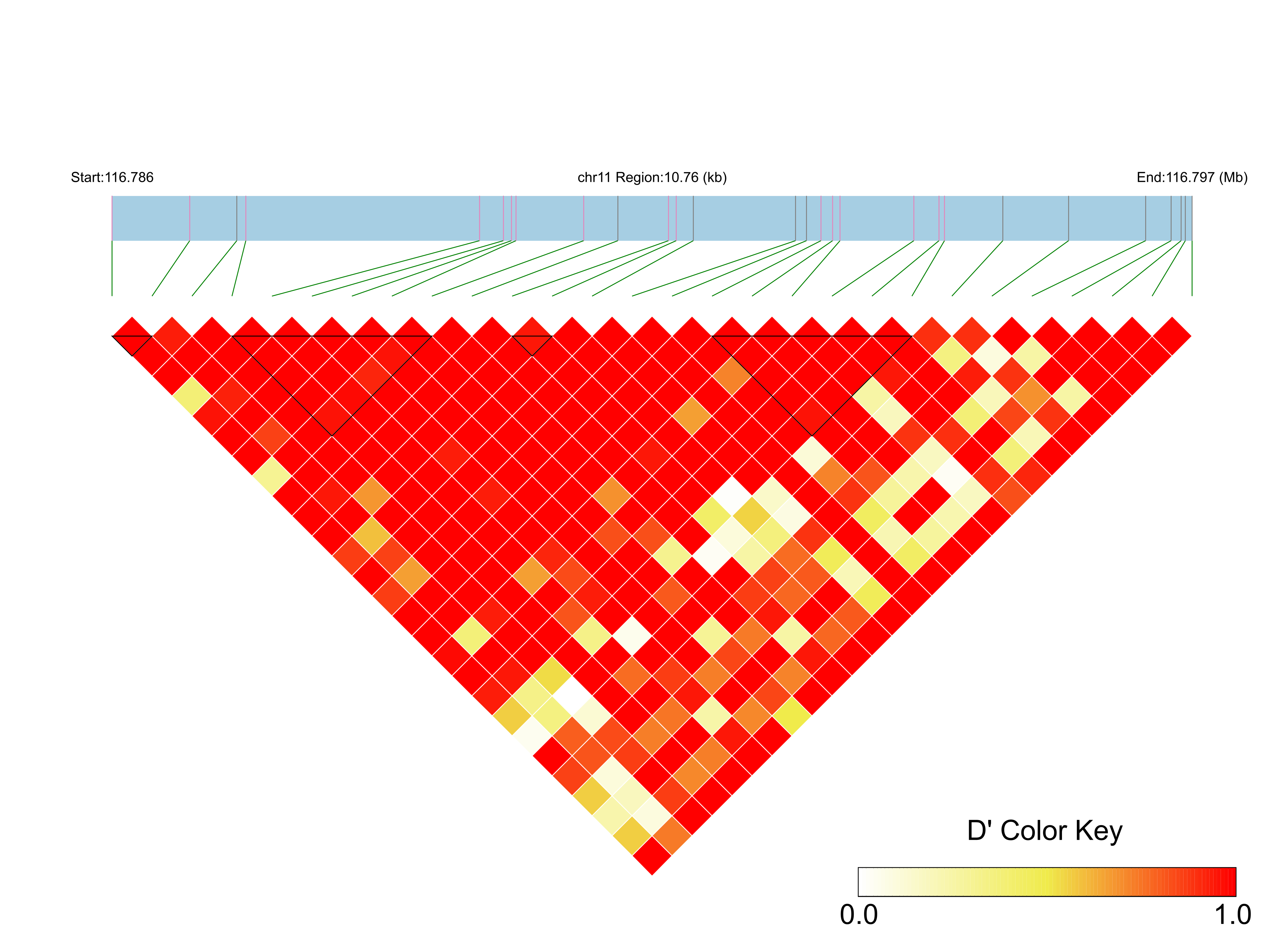 LD