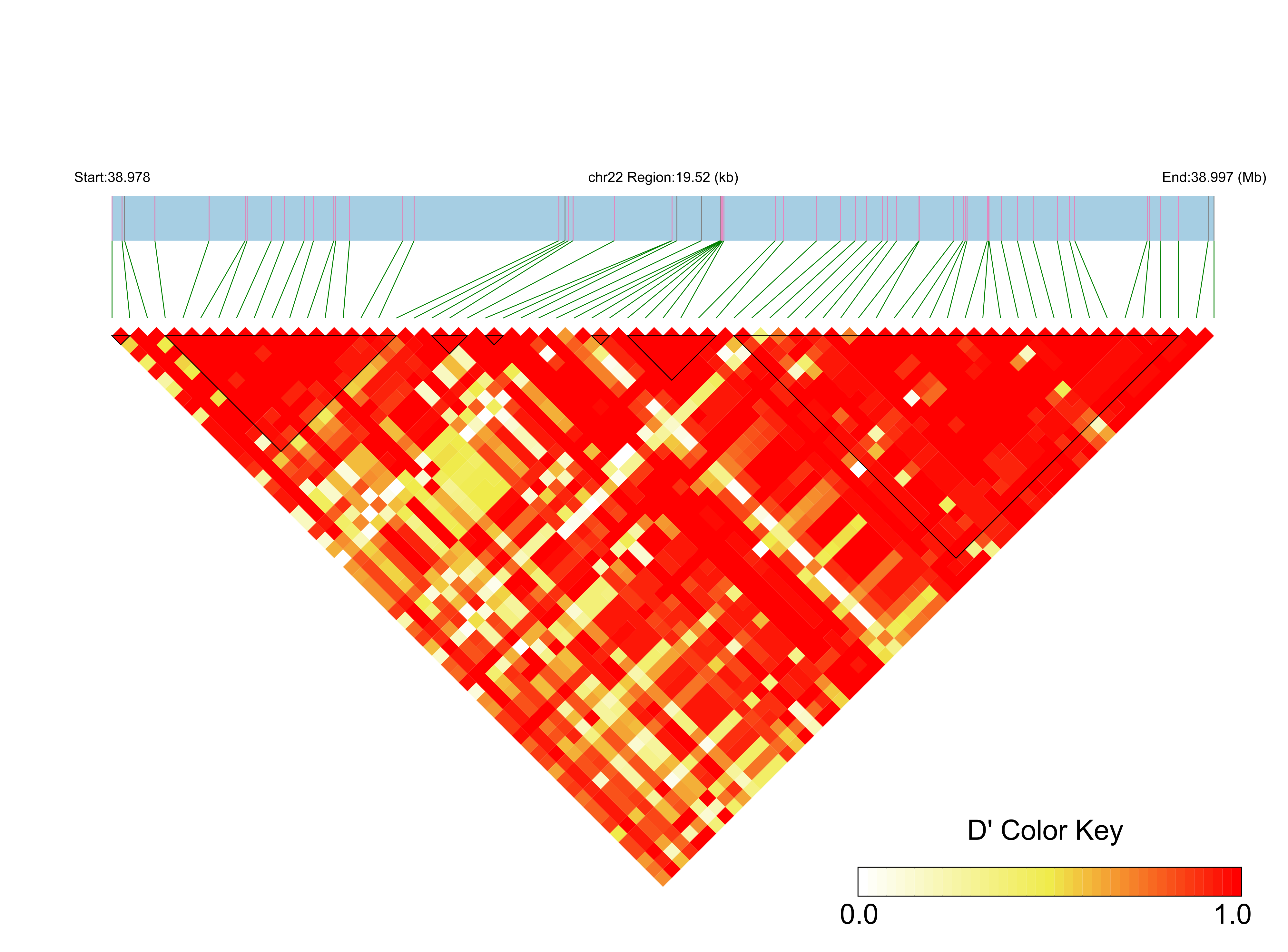 LD