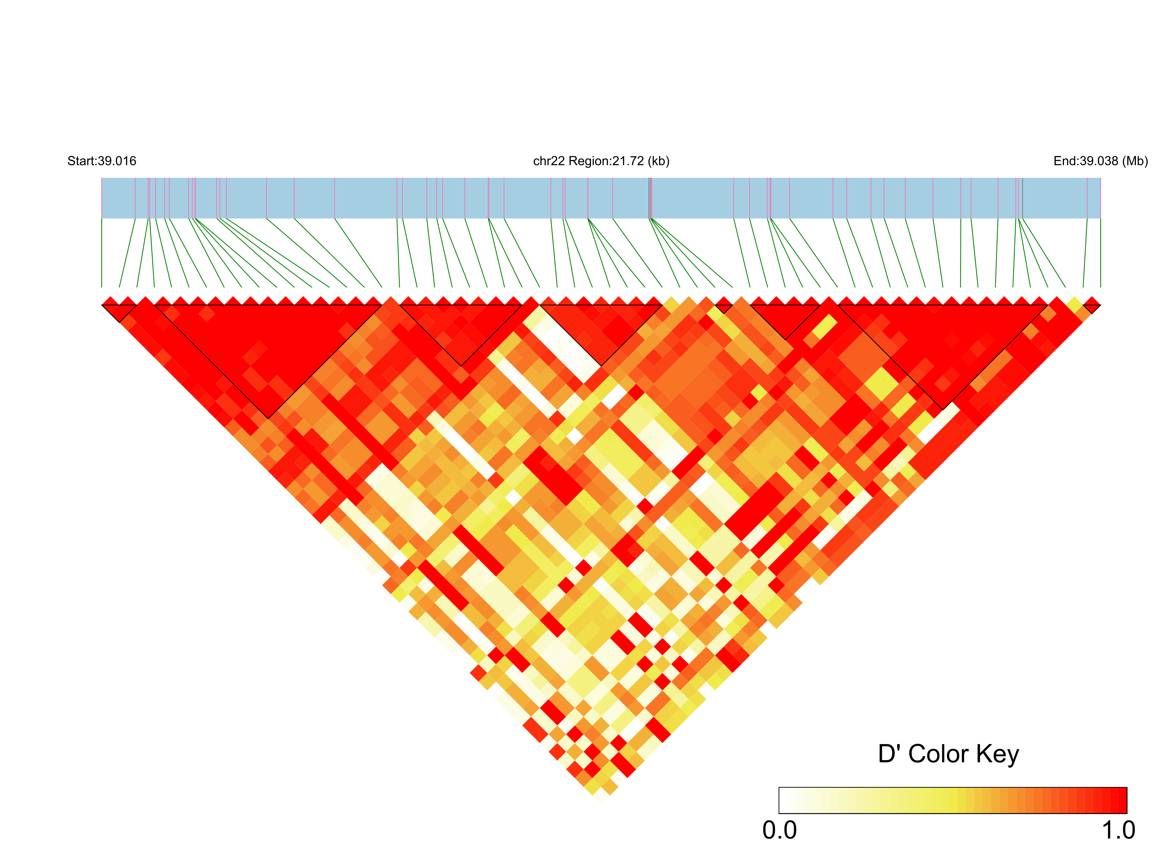 LD