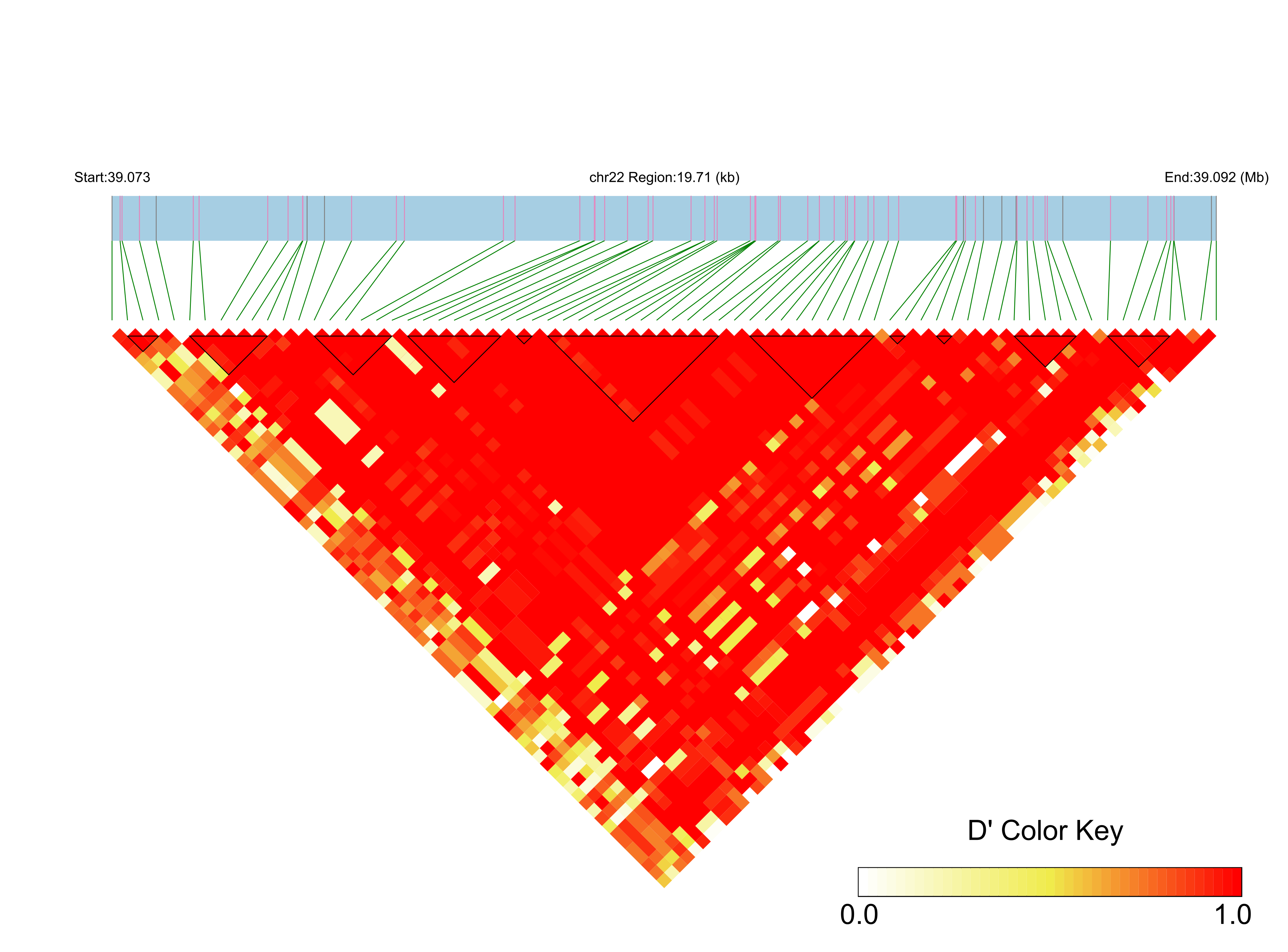 LD