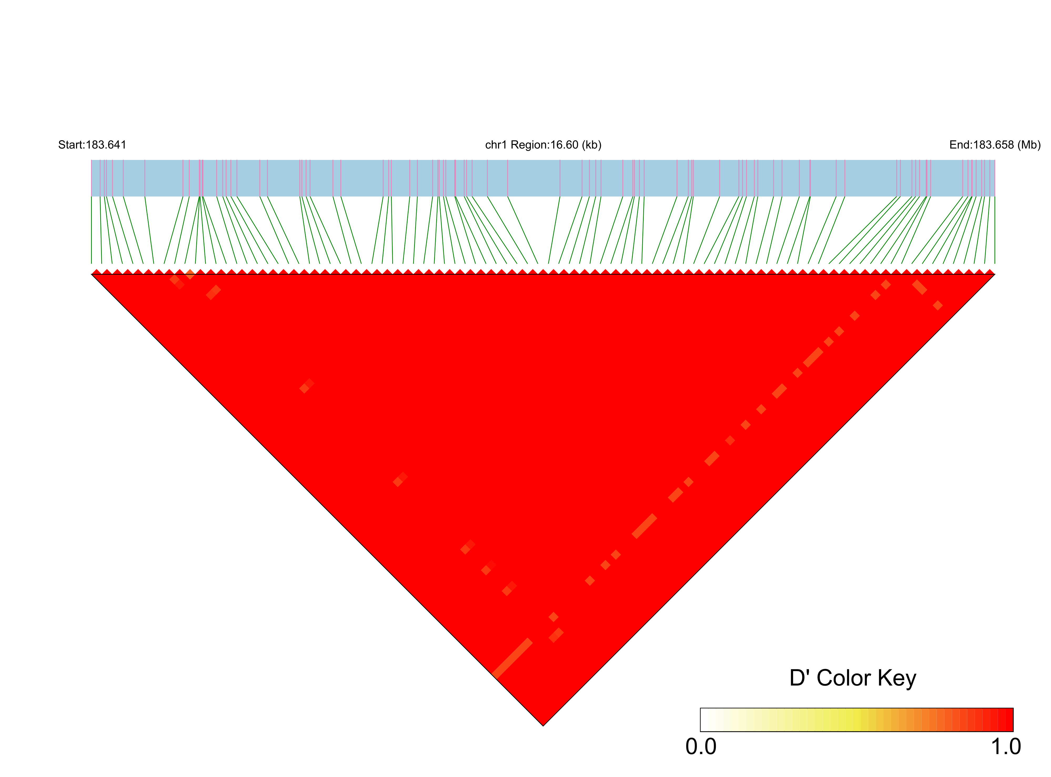 LD