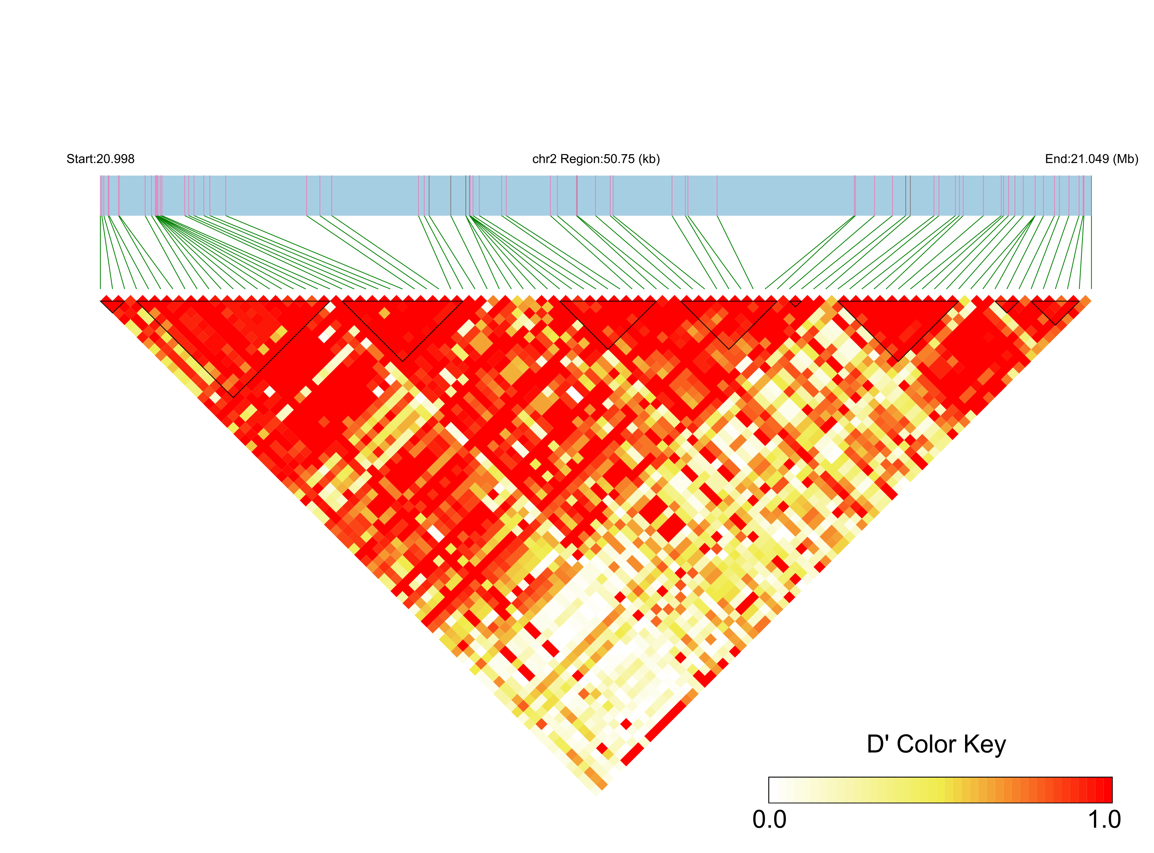 LD
