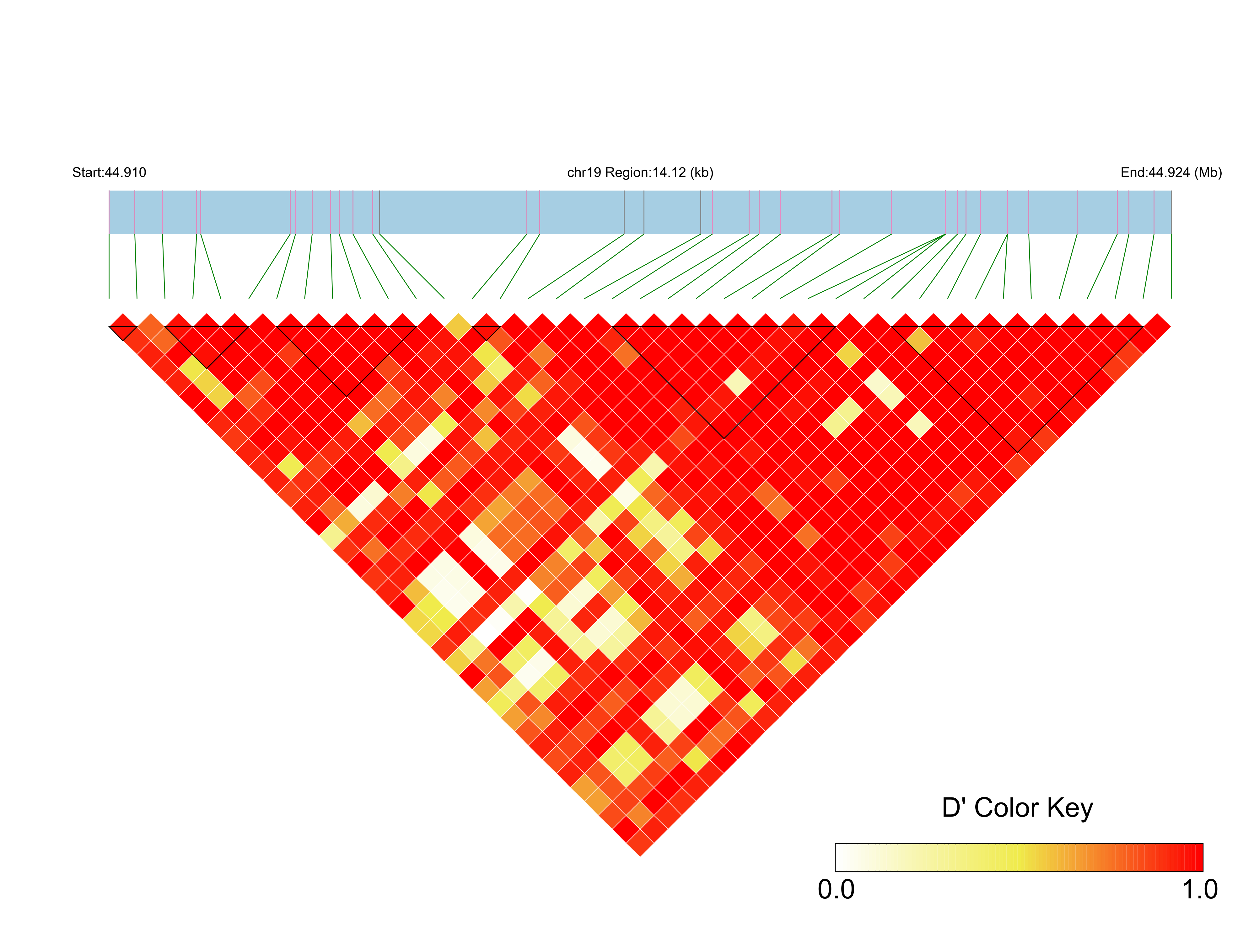LD