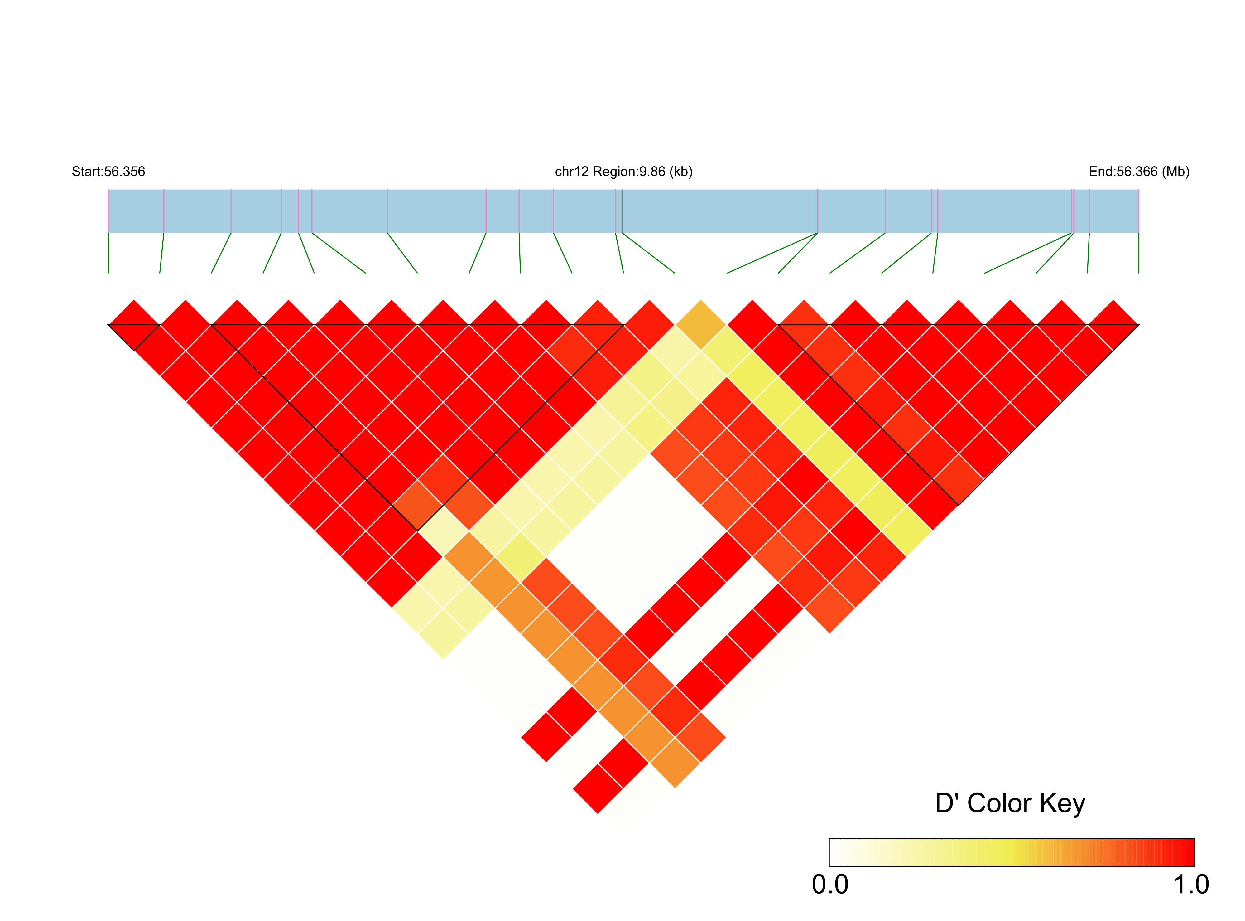 LD