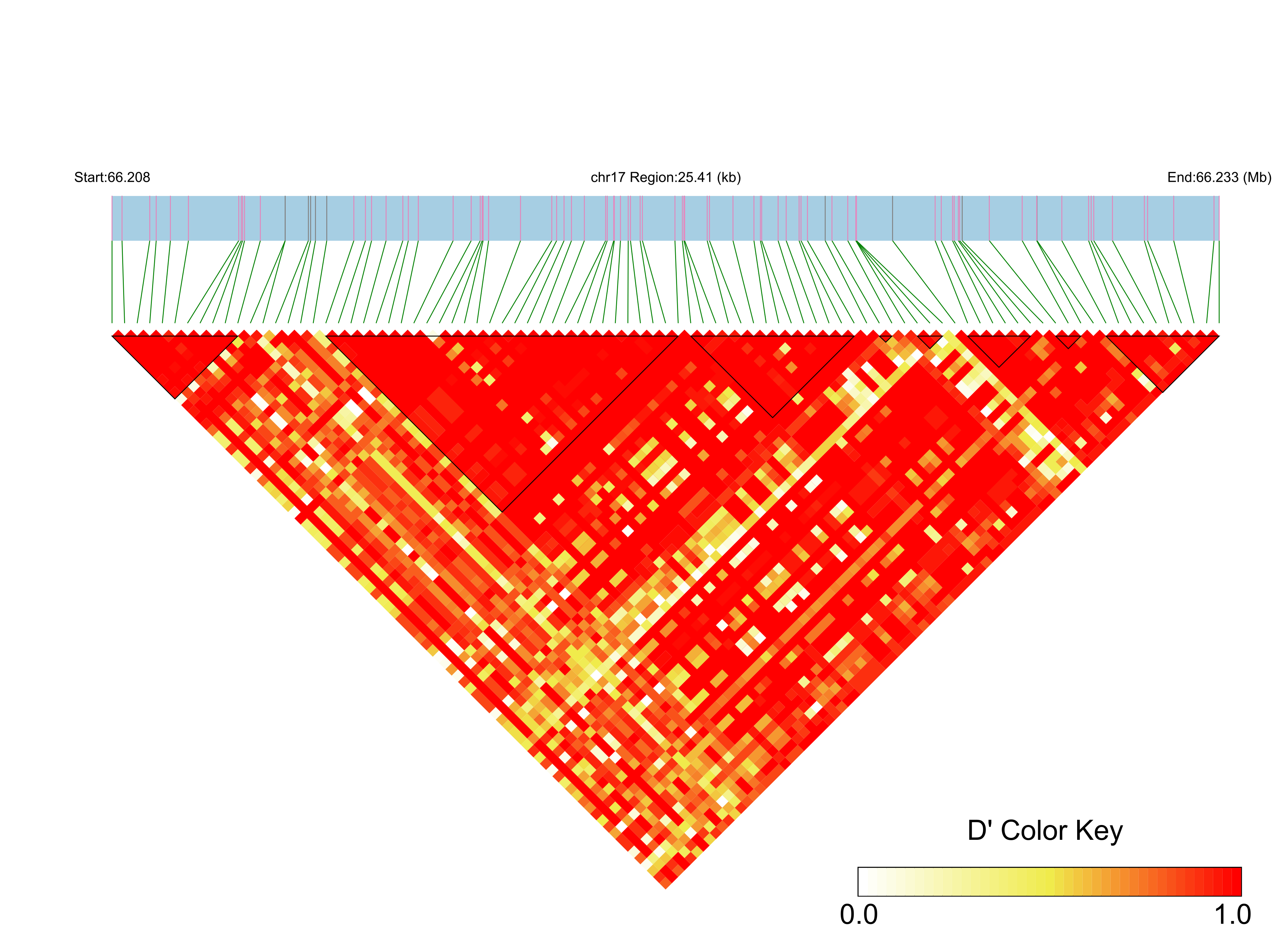 LD