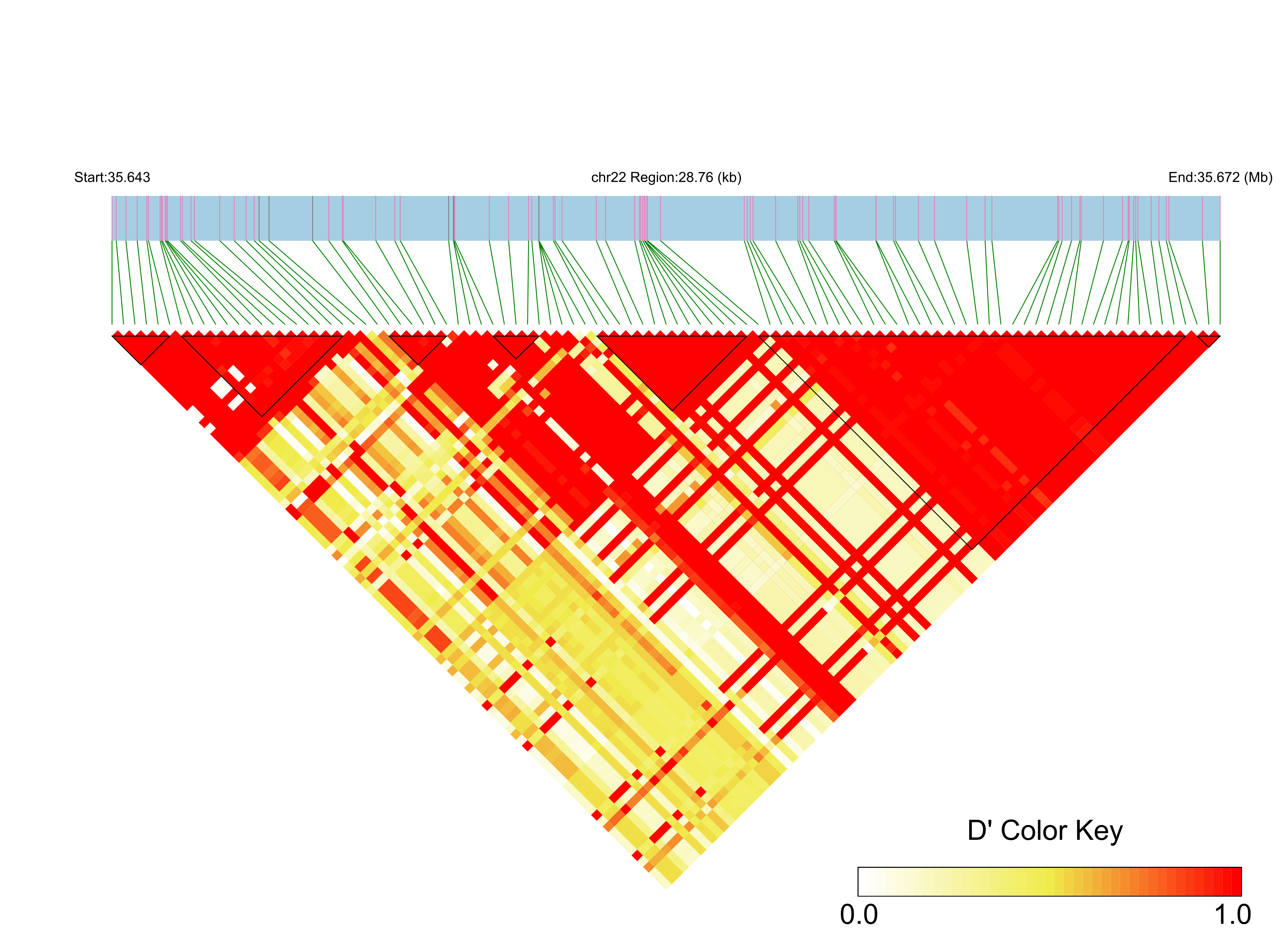 LD