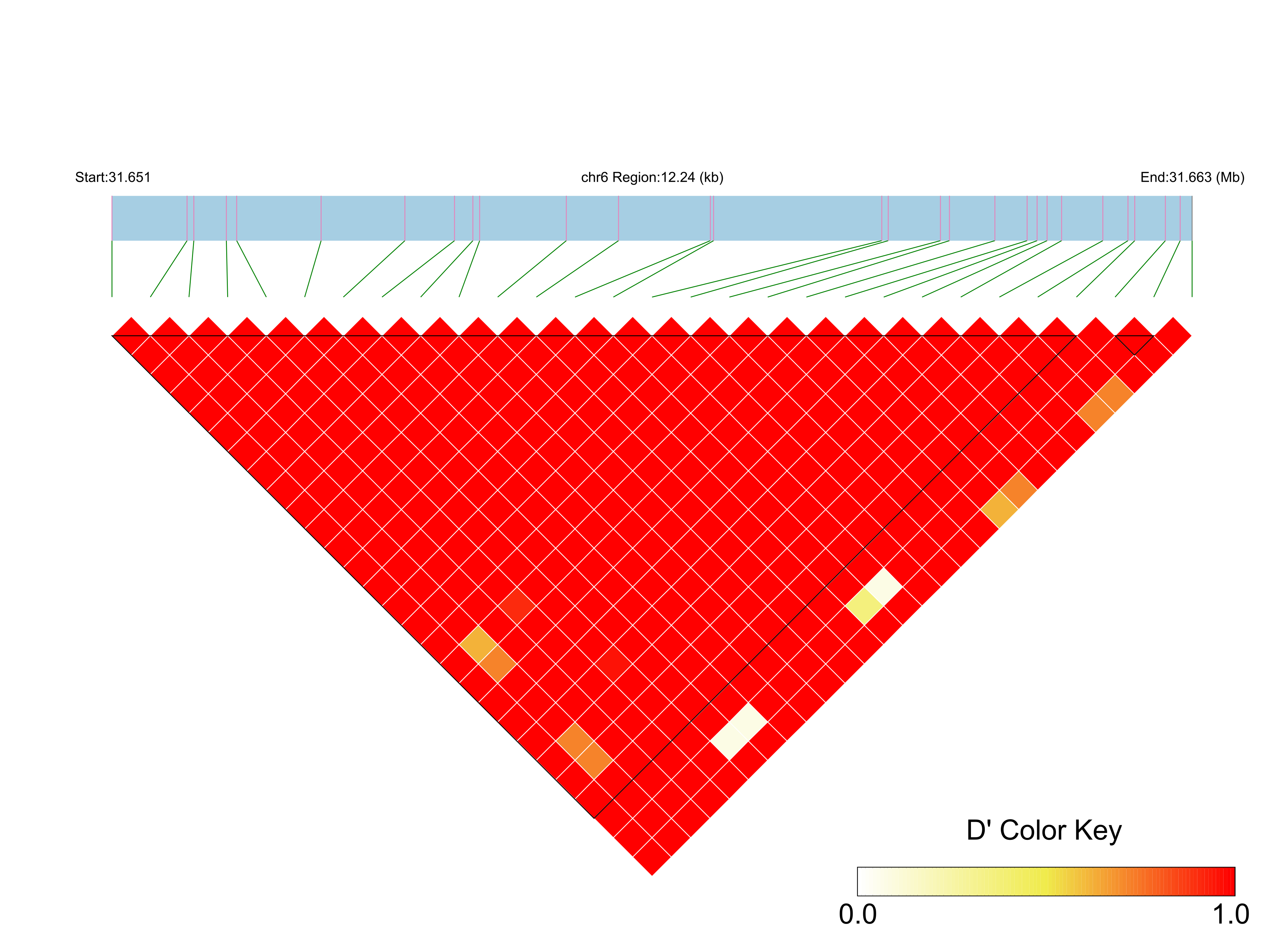 LD
