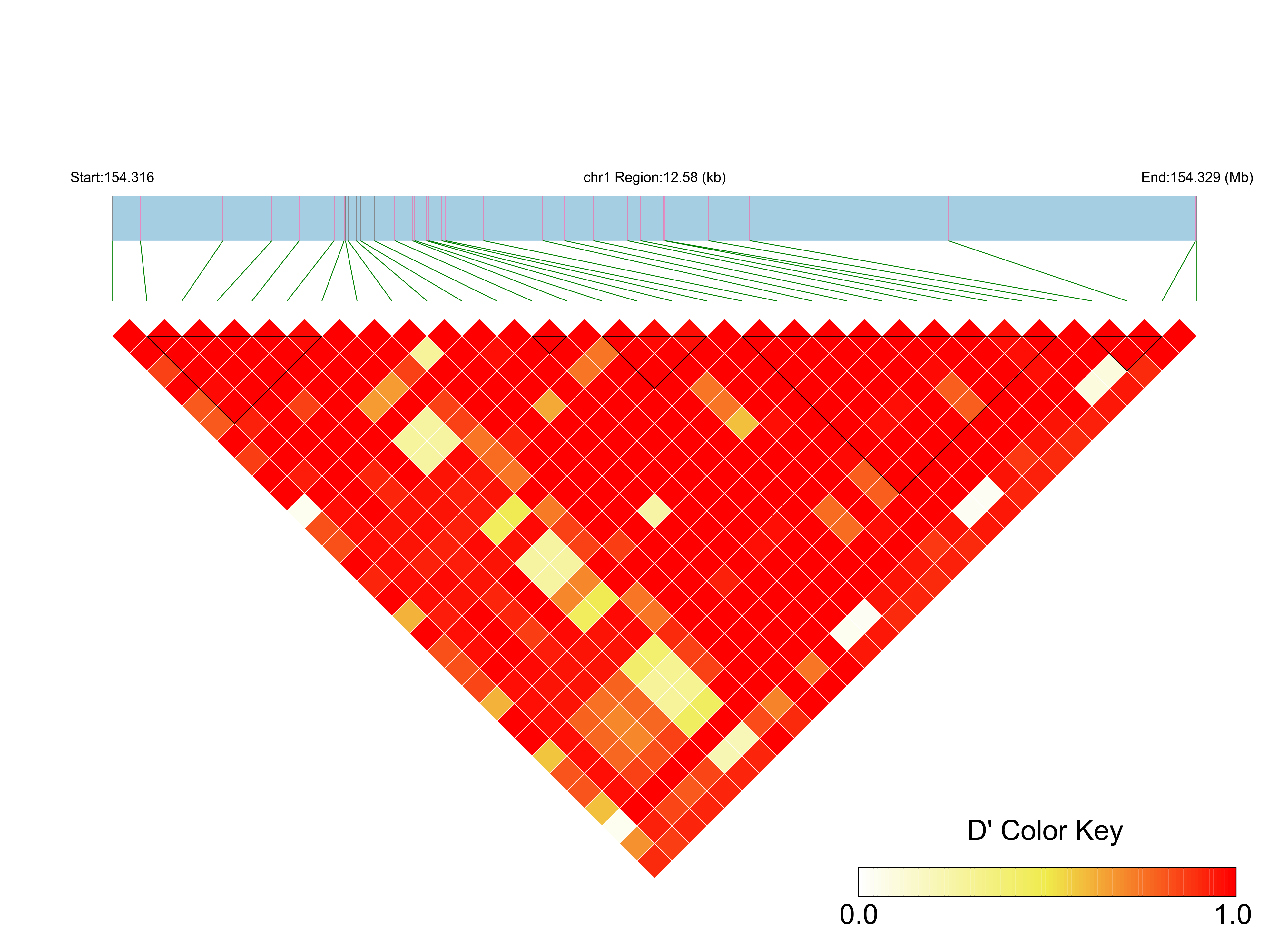 LD