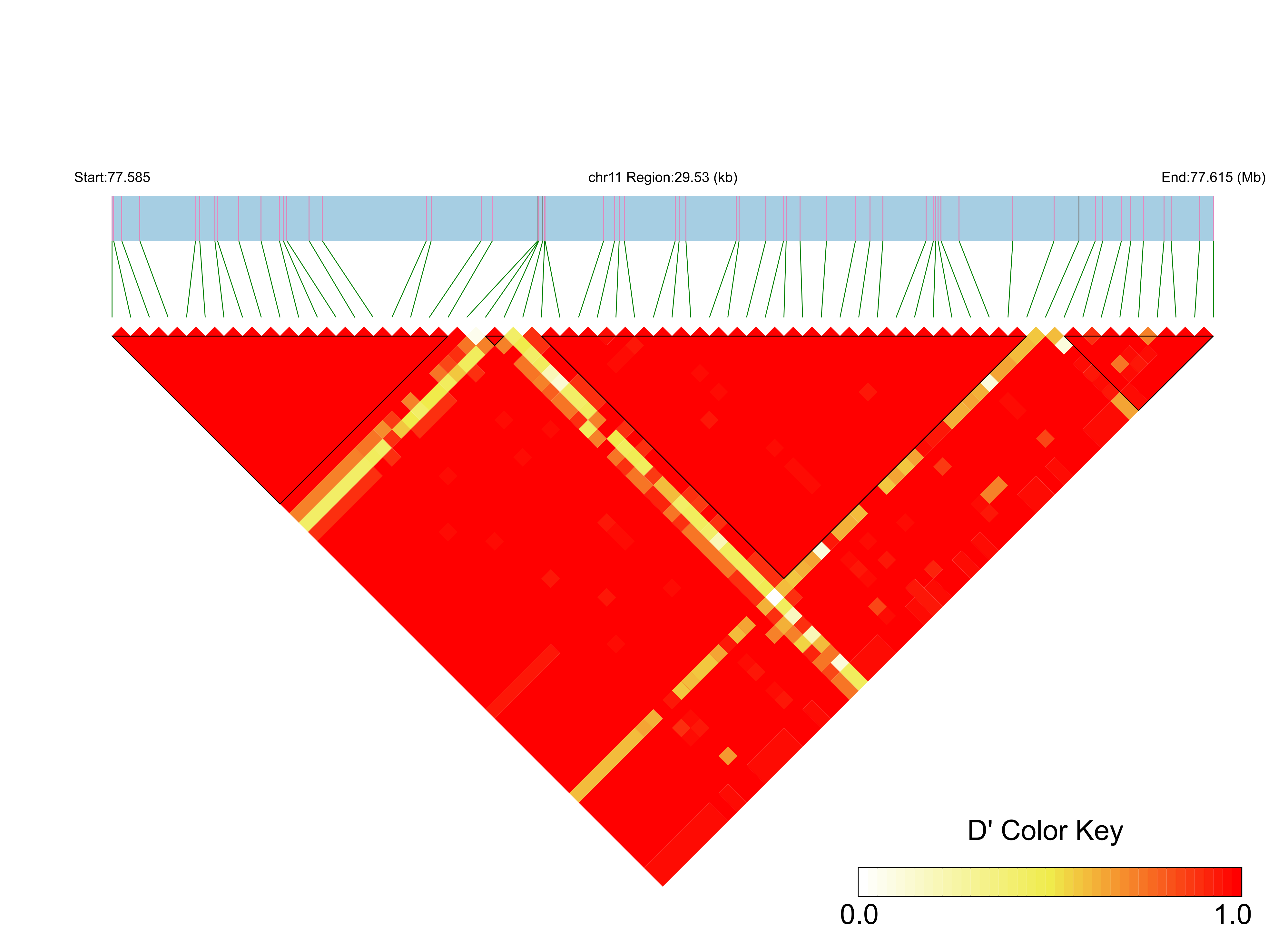 LD