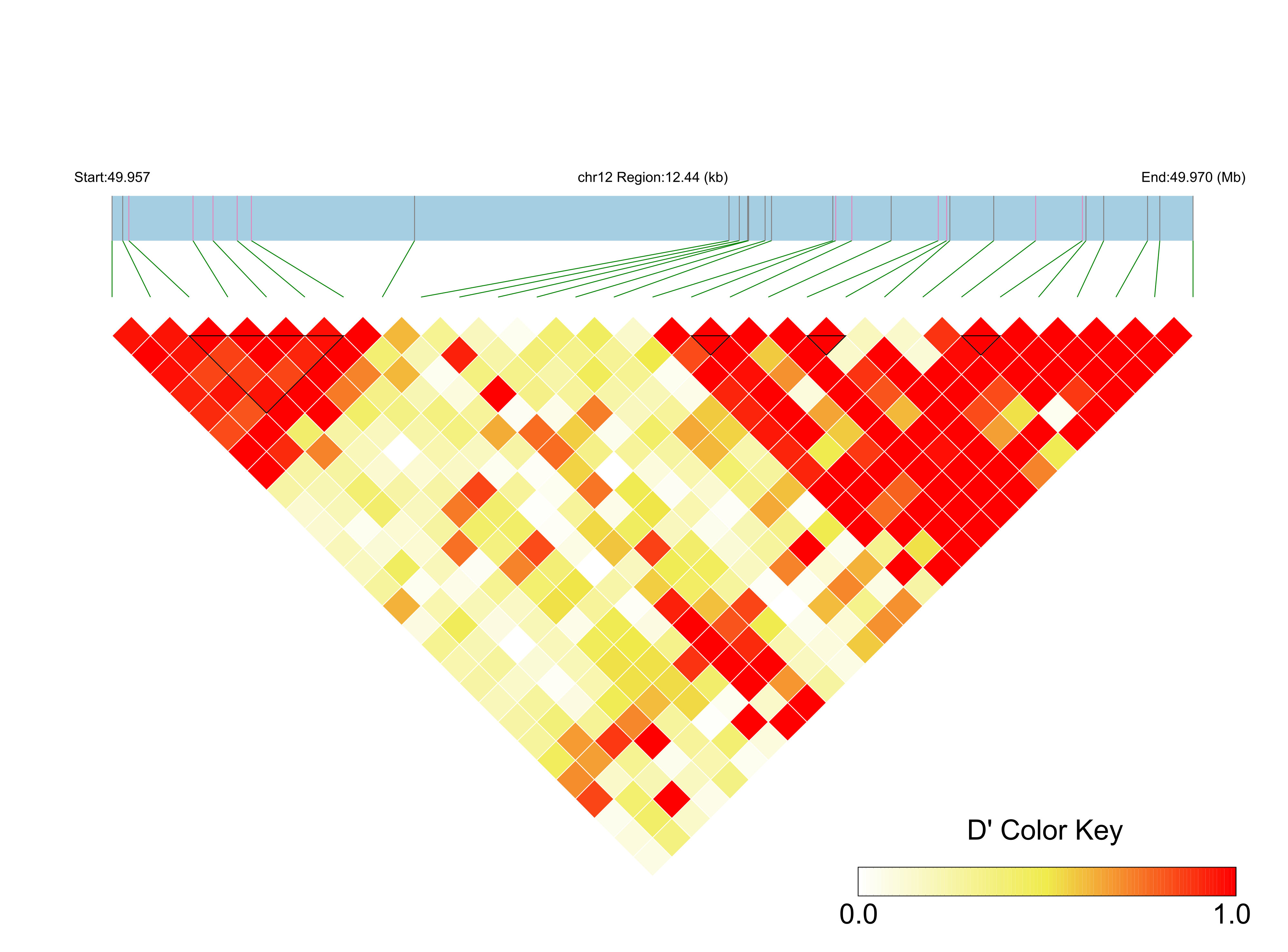 LD