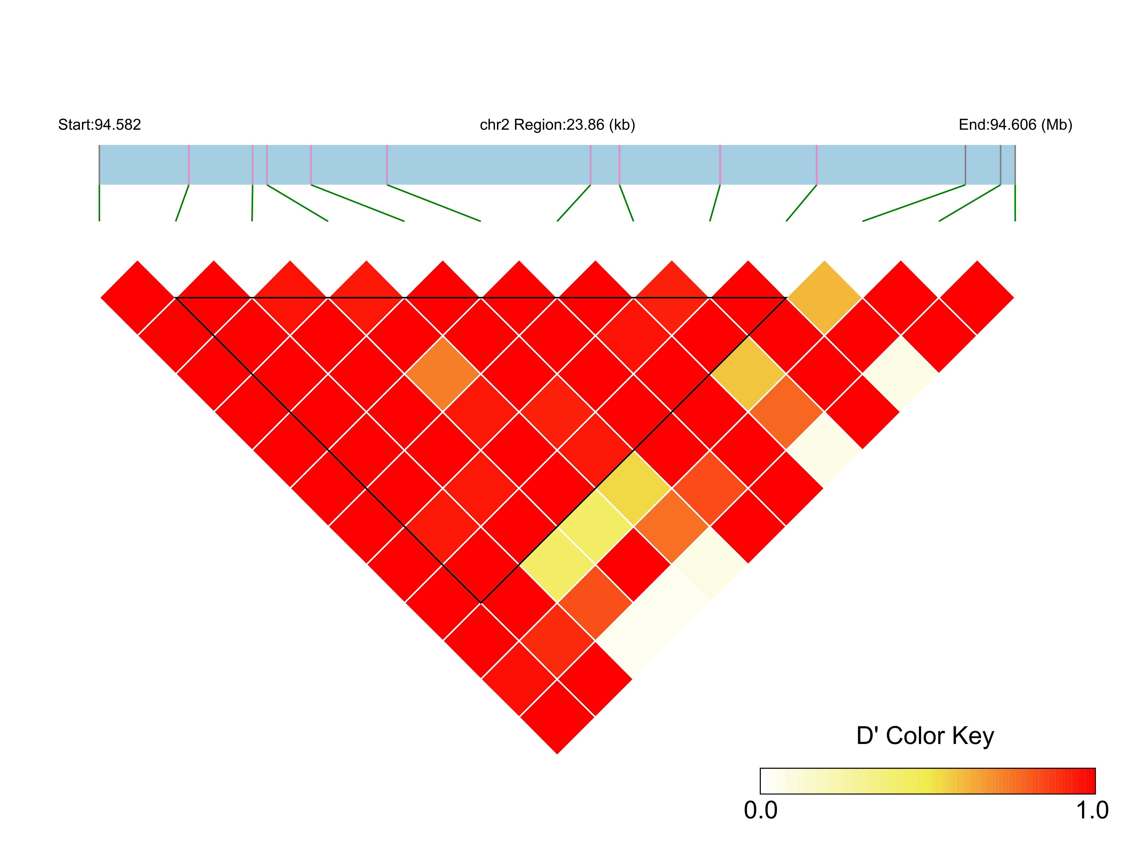 LD