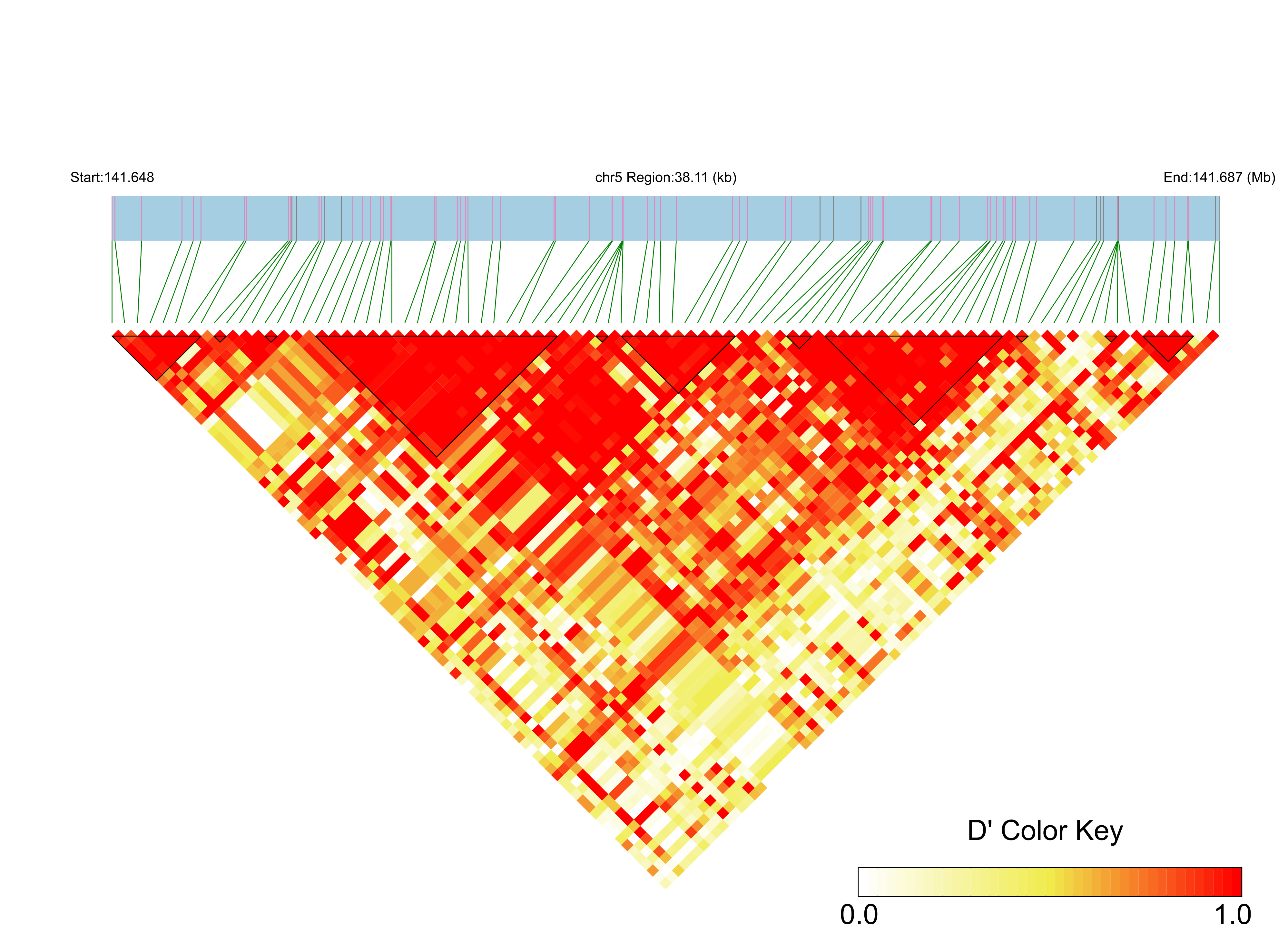 LD