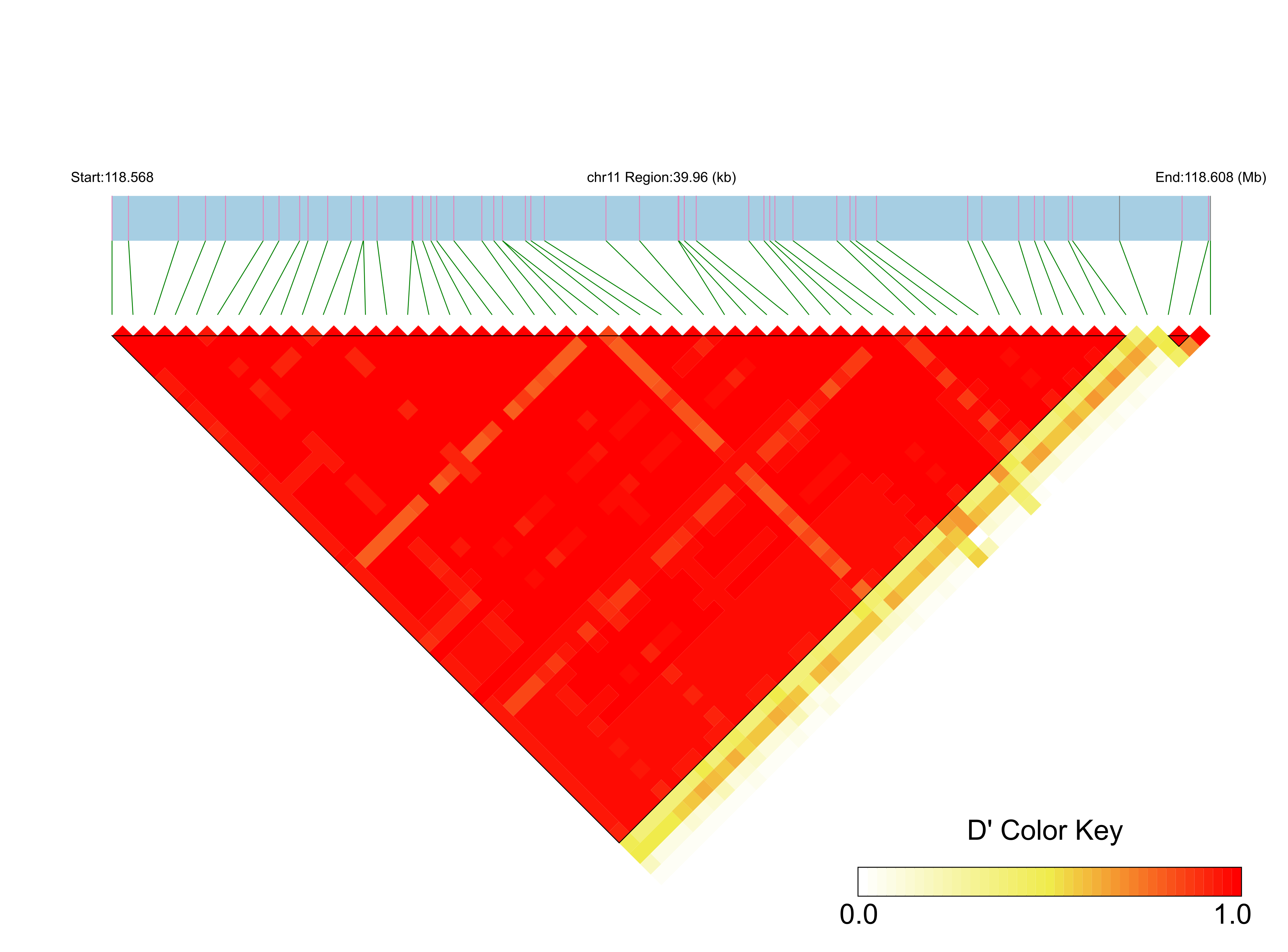 LD