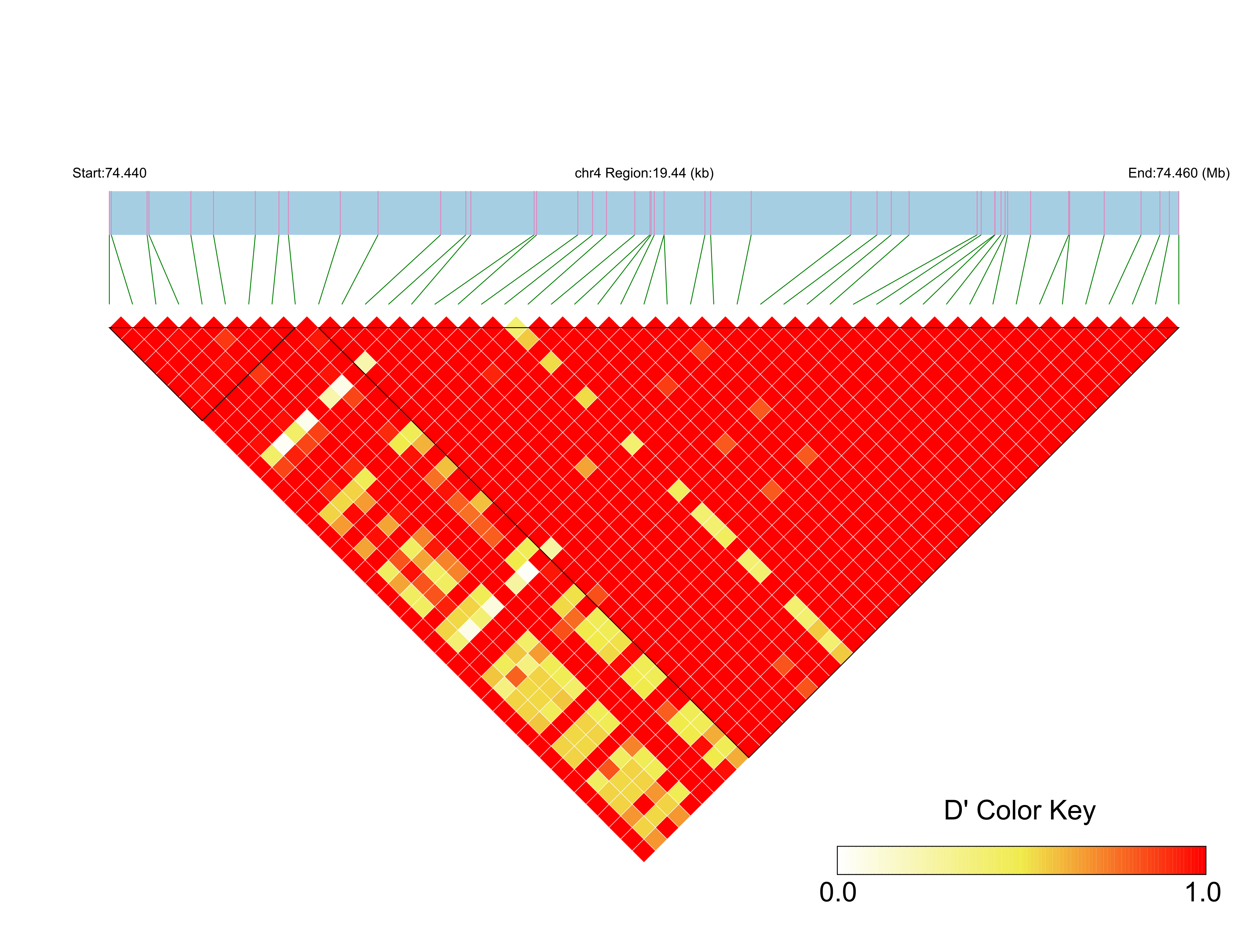 LD
