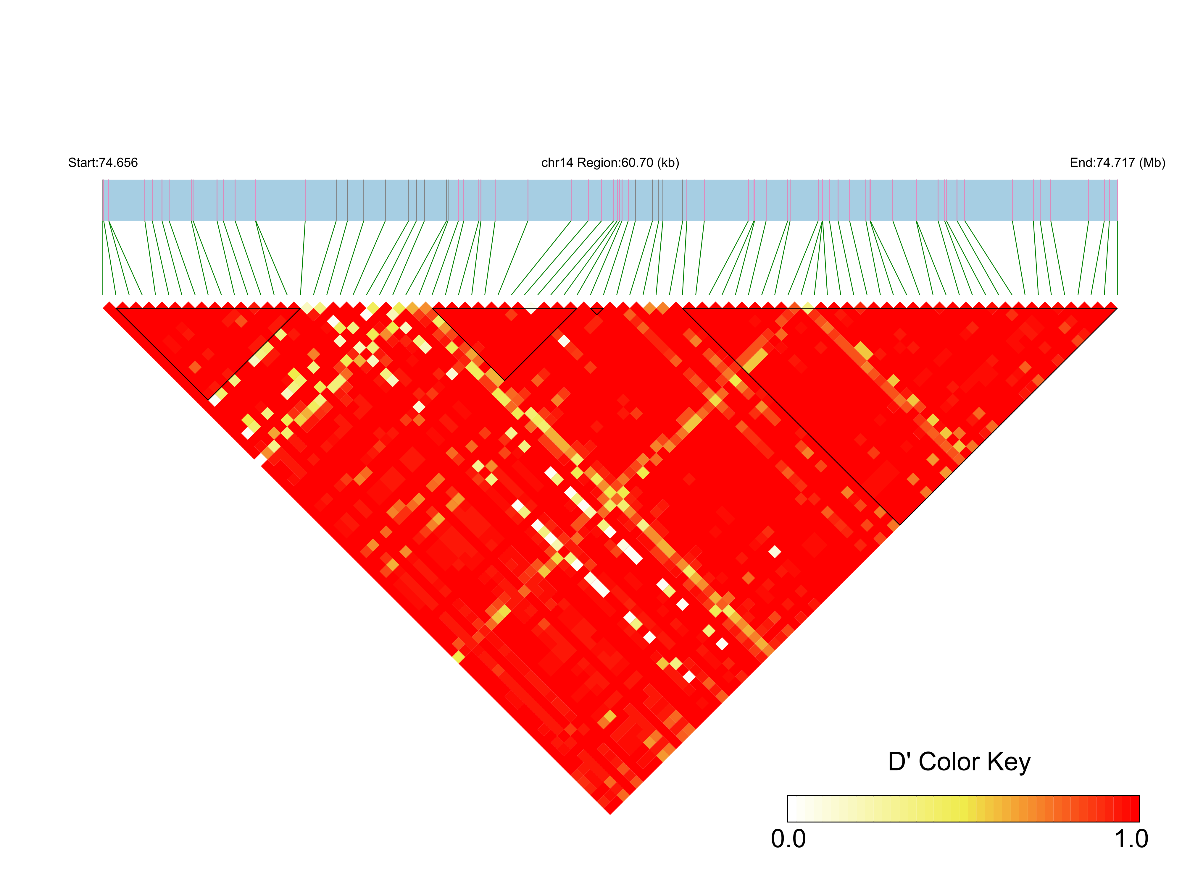 LD
