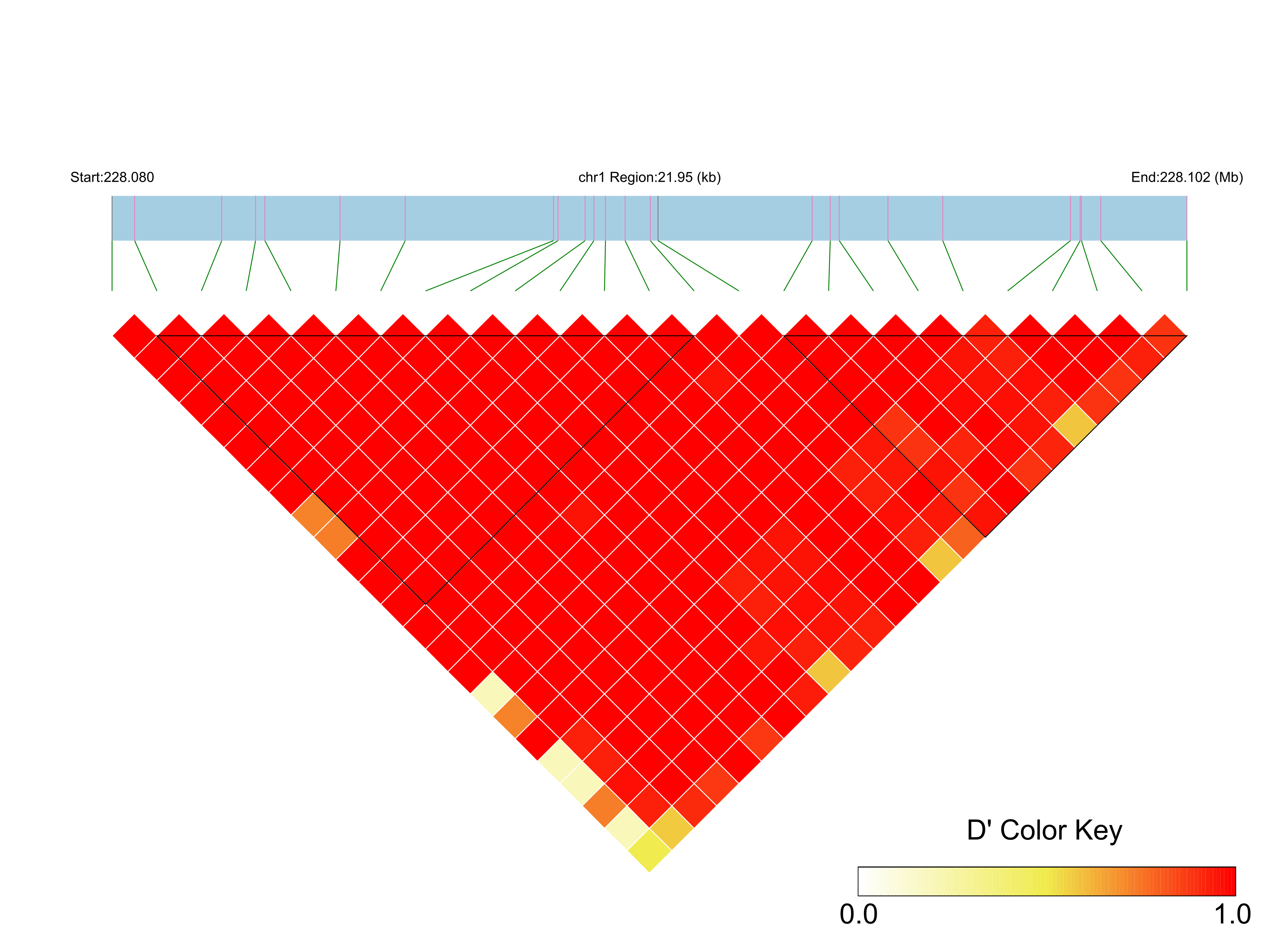 LD