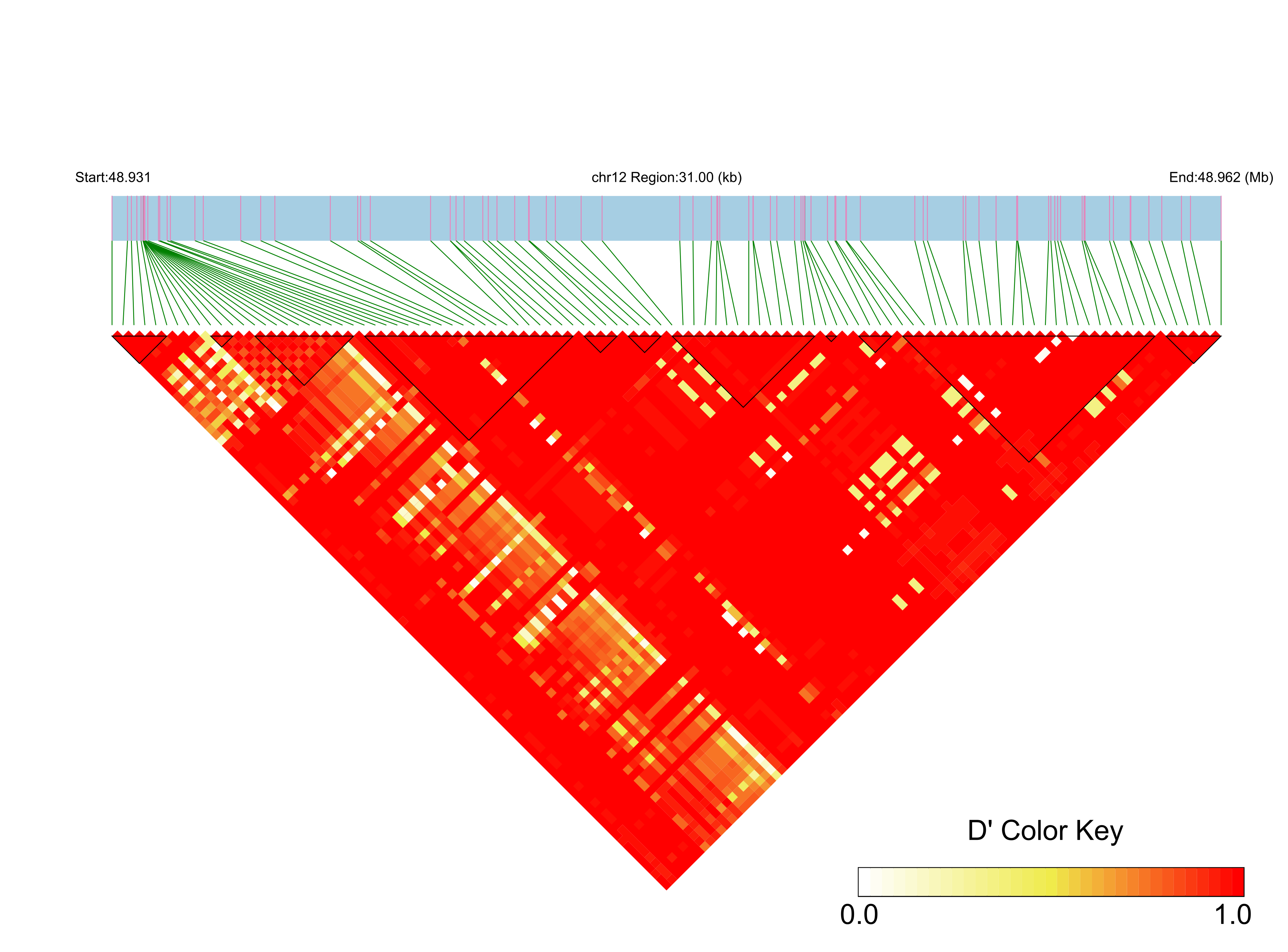 LD