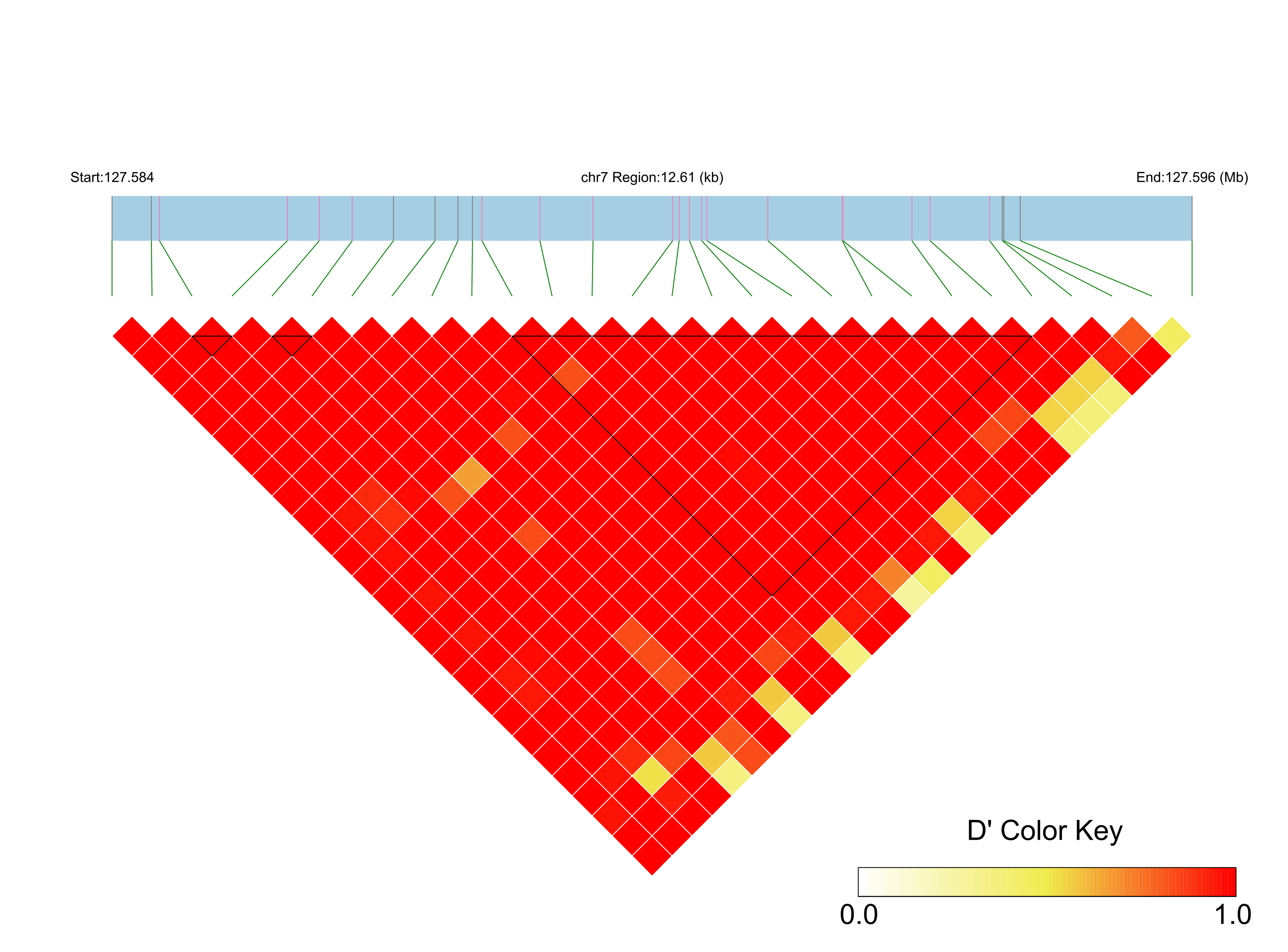 LD