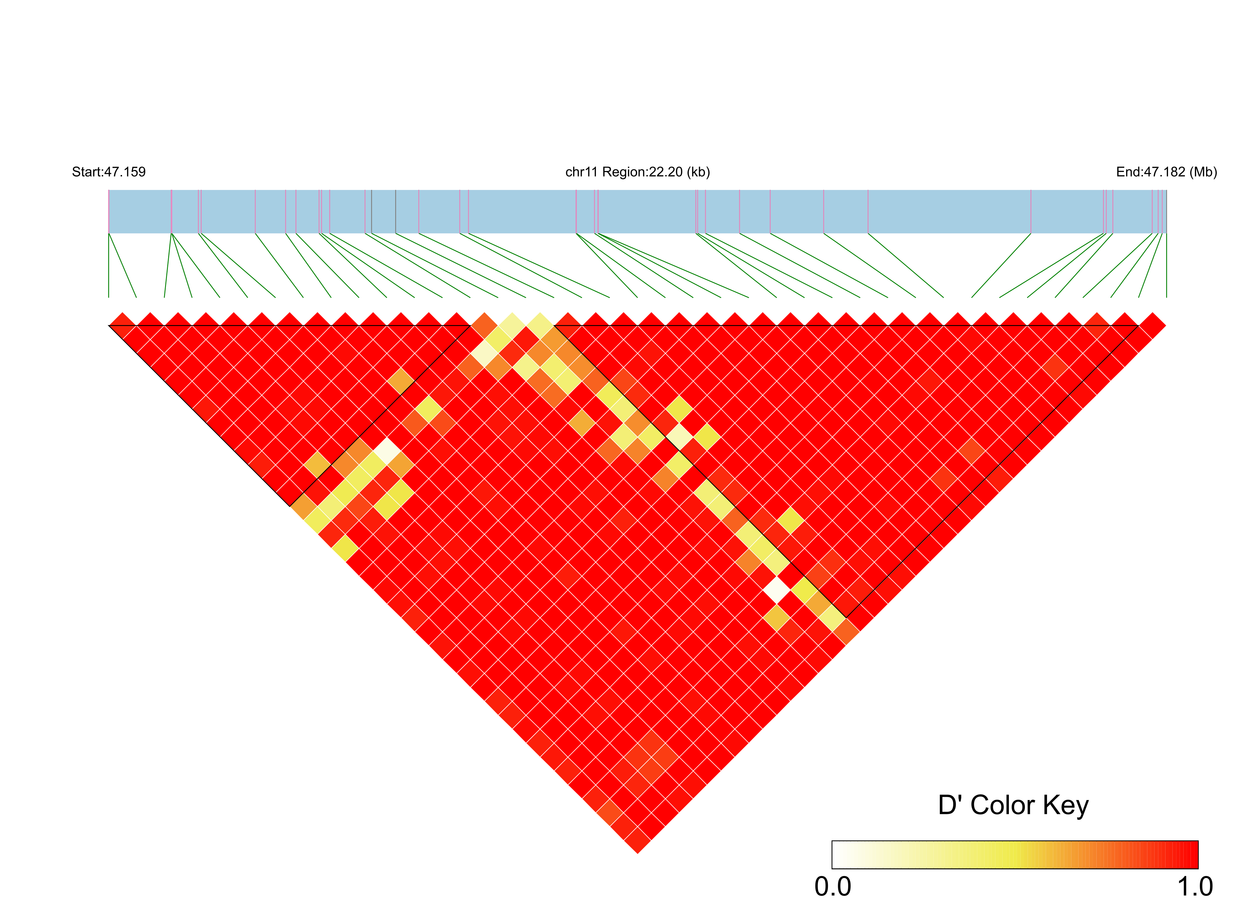 LD