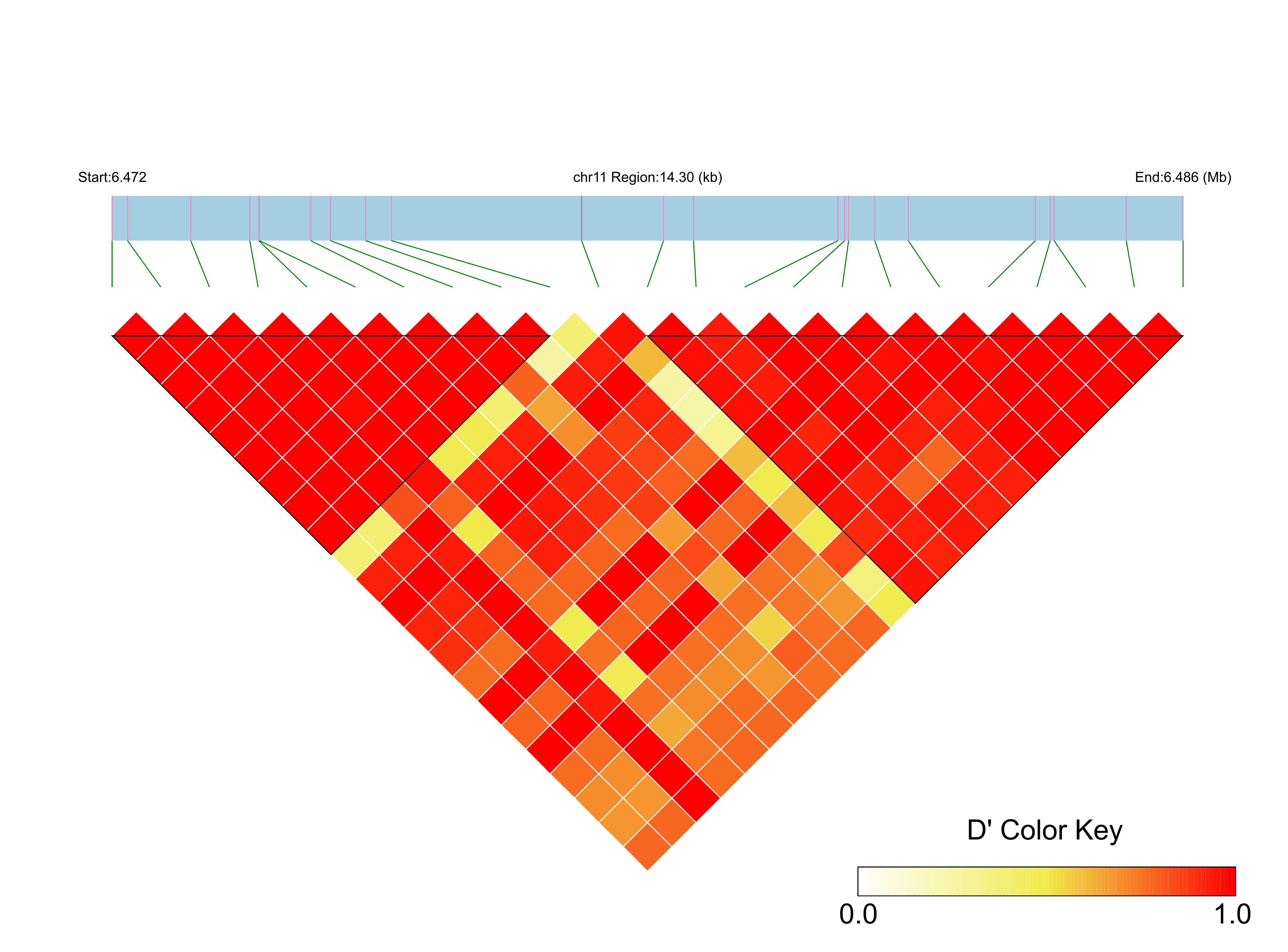 LD