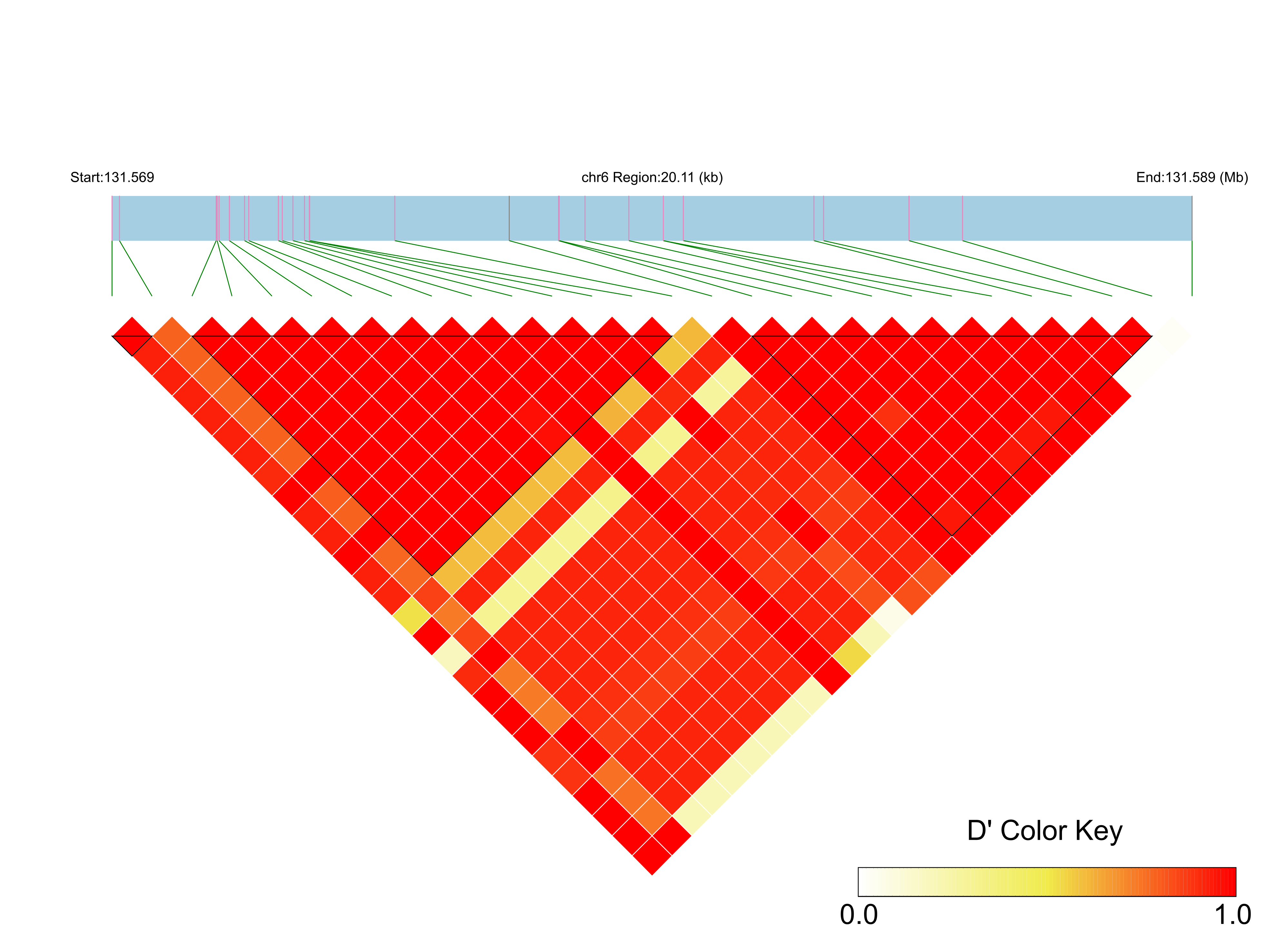 LD