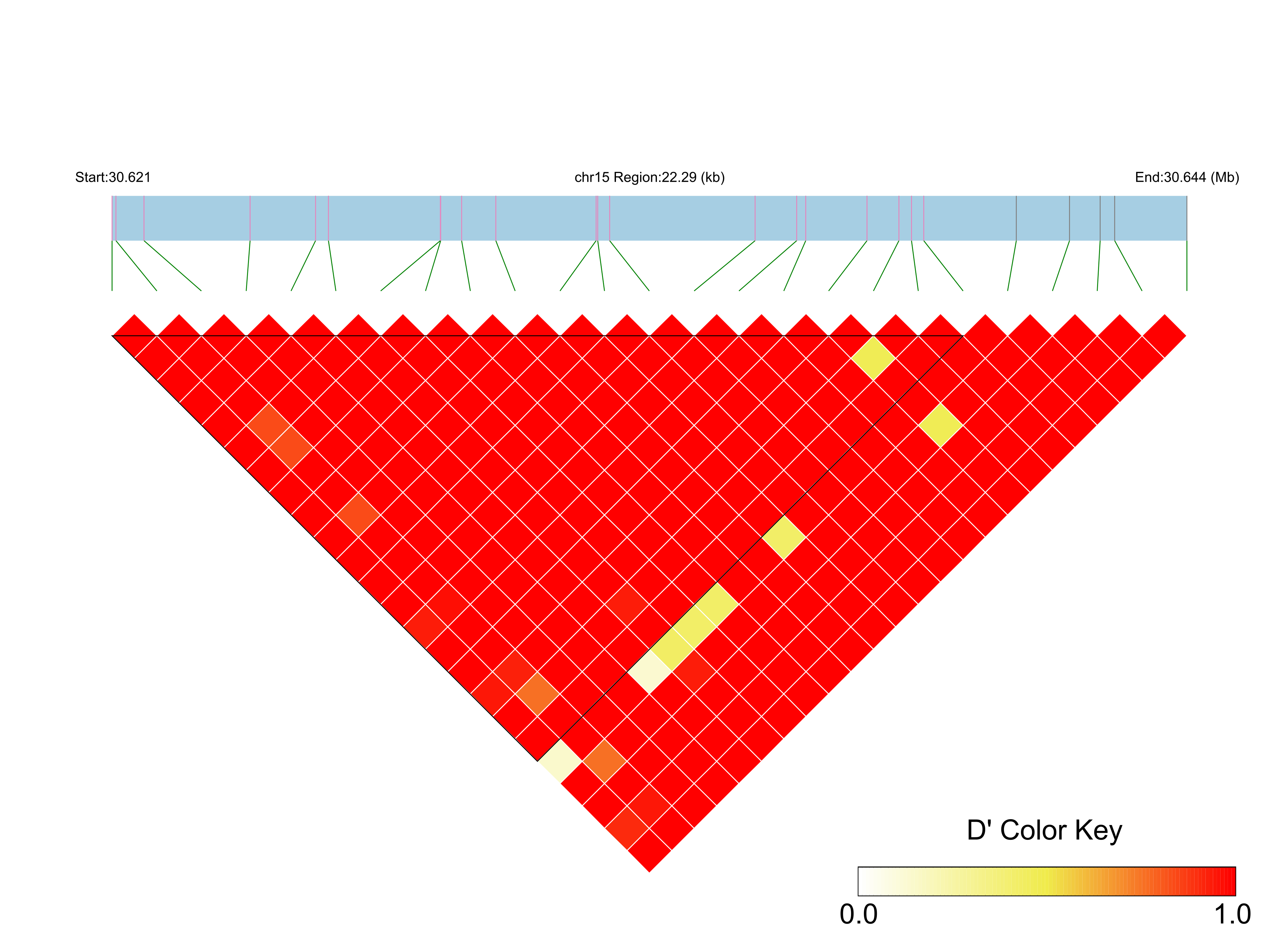 LD