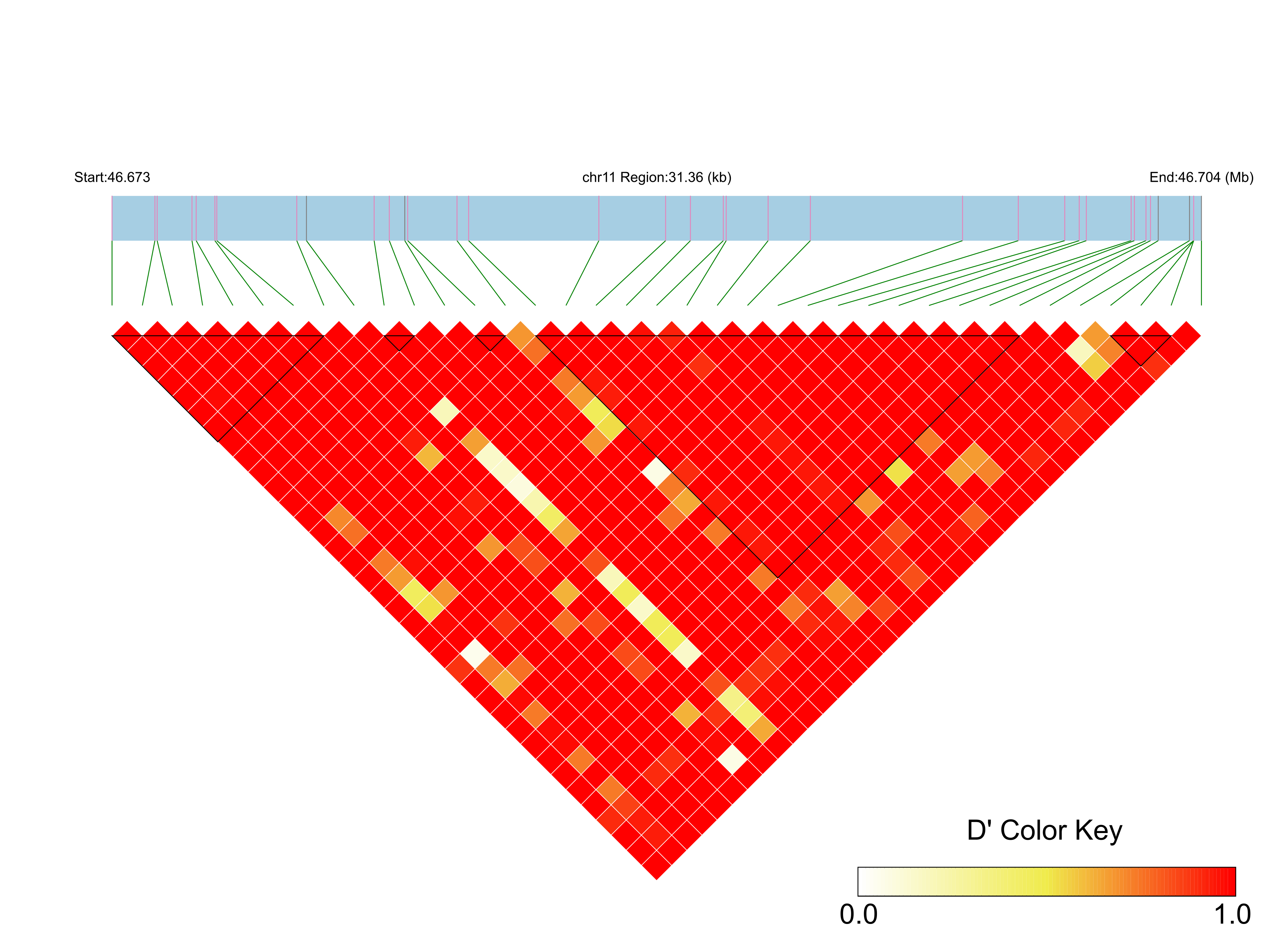 LD