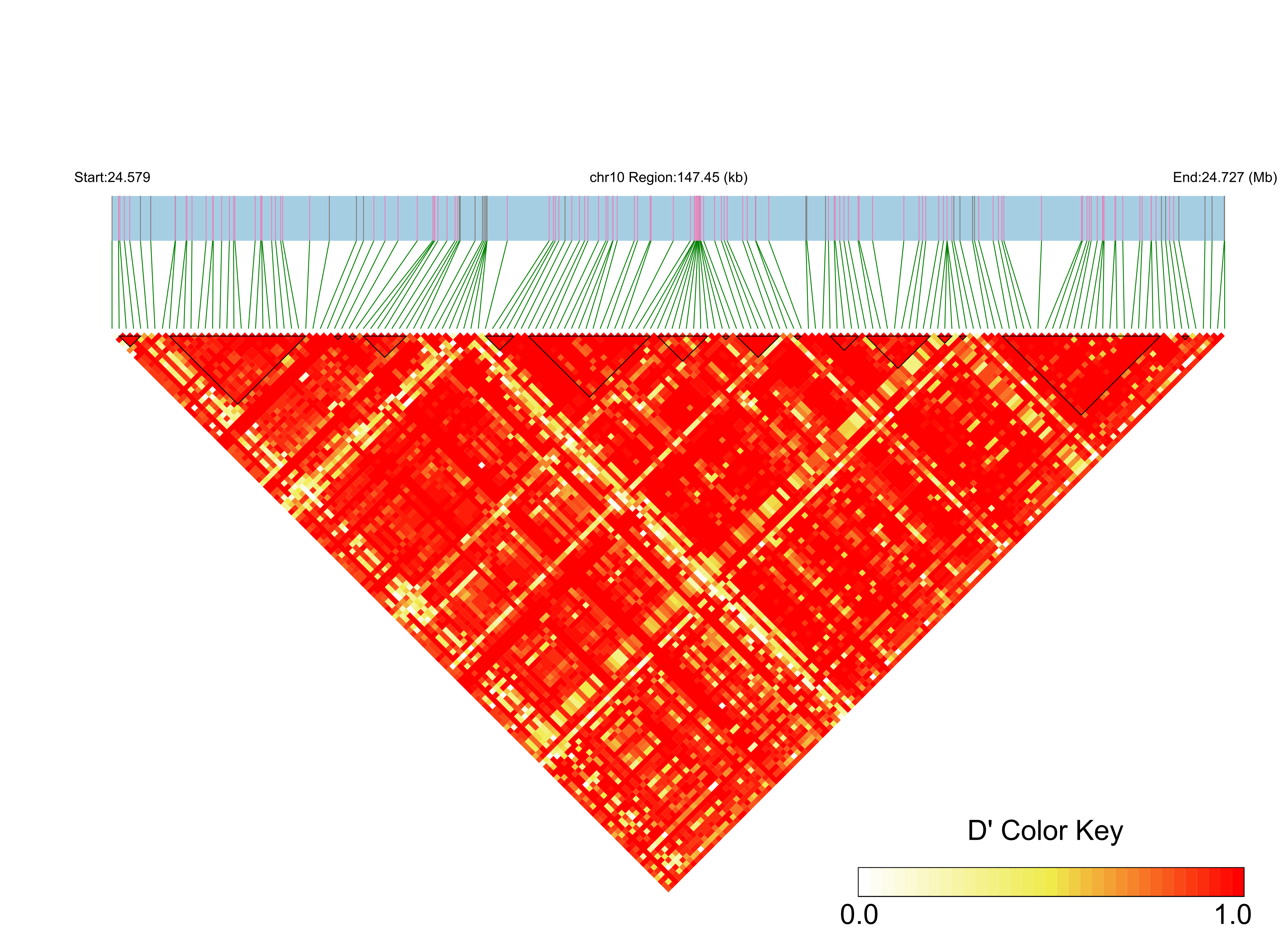 LD