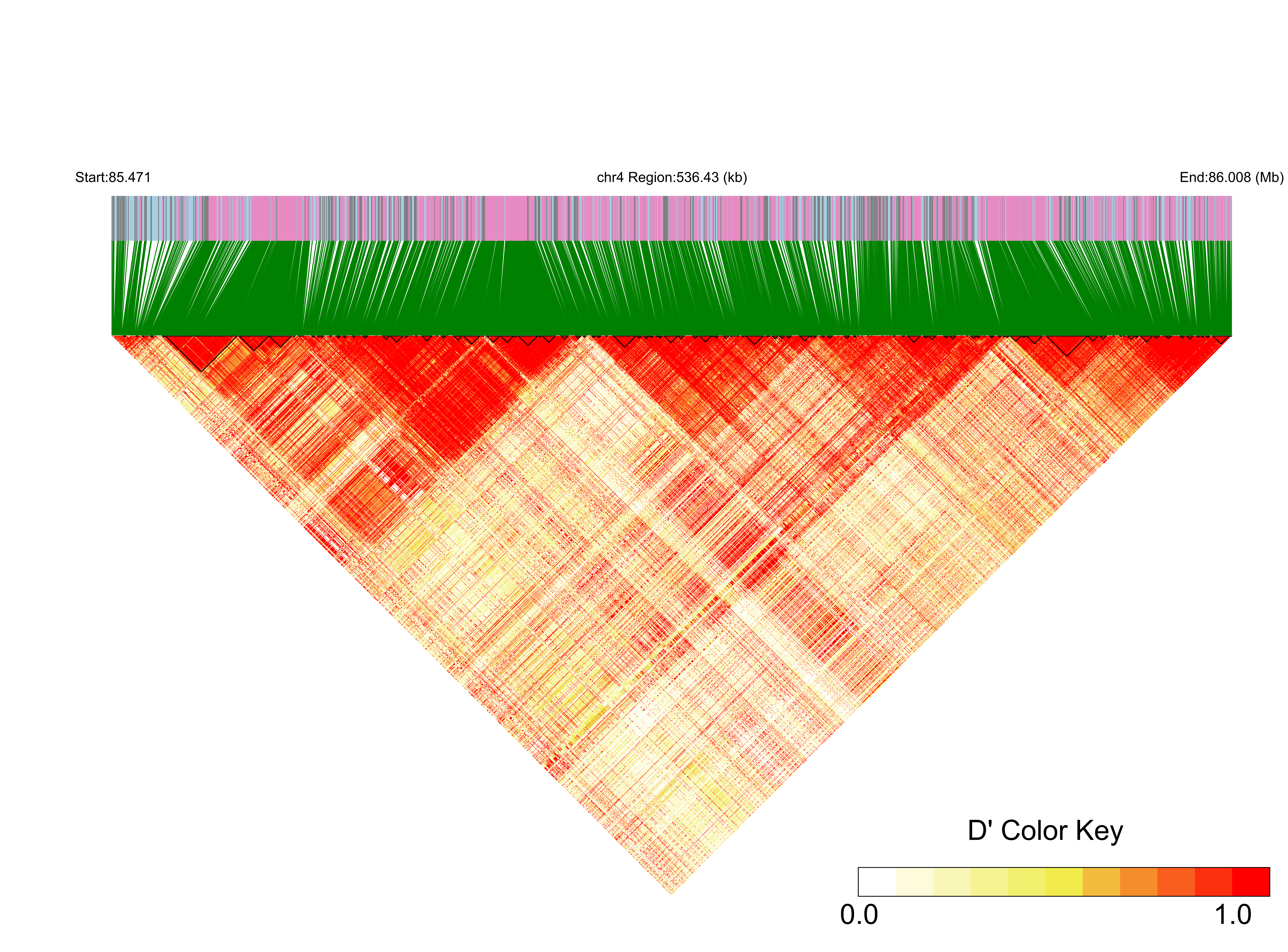 LD