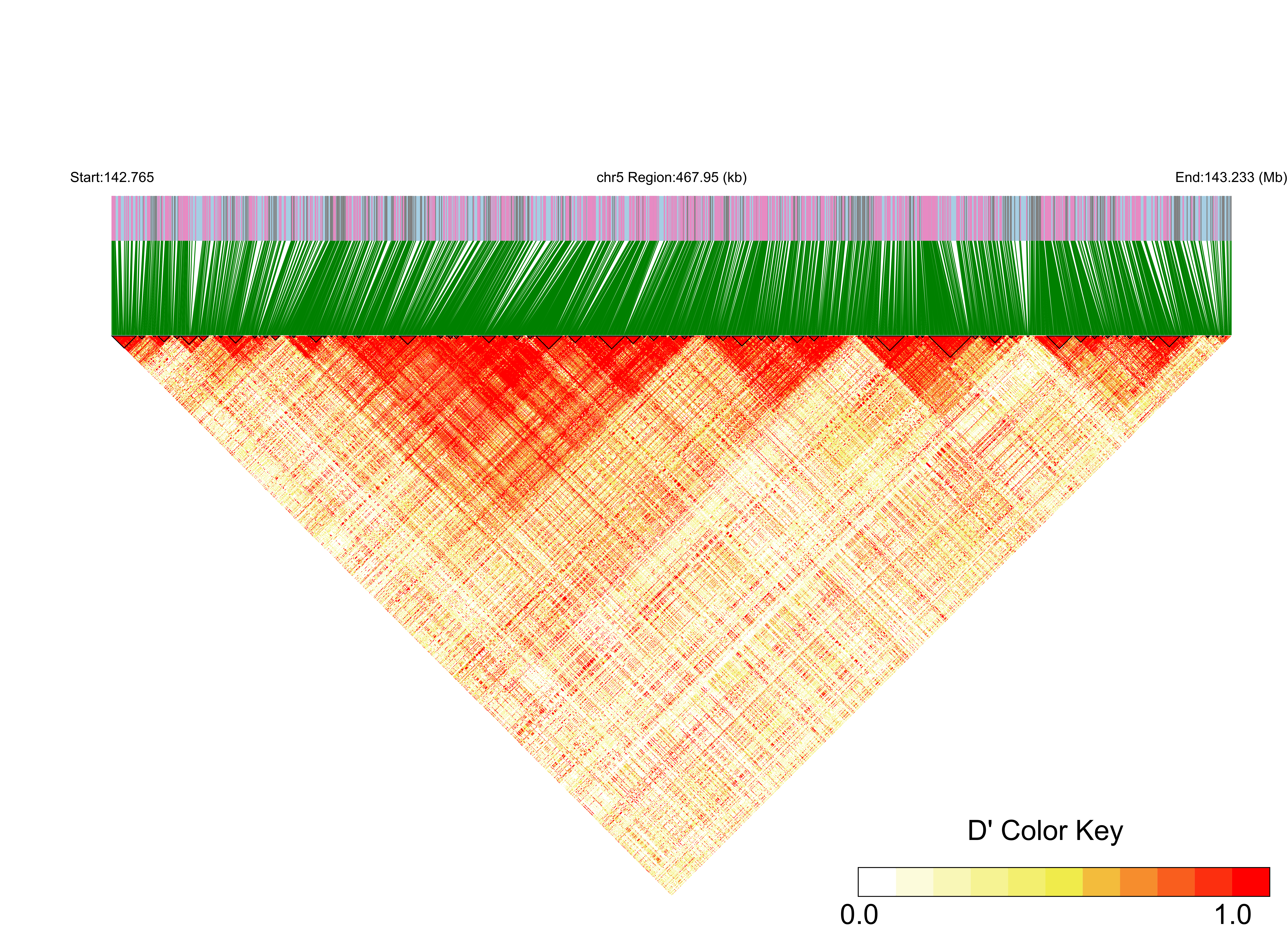 LD