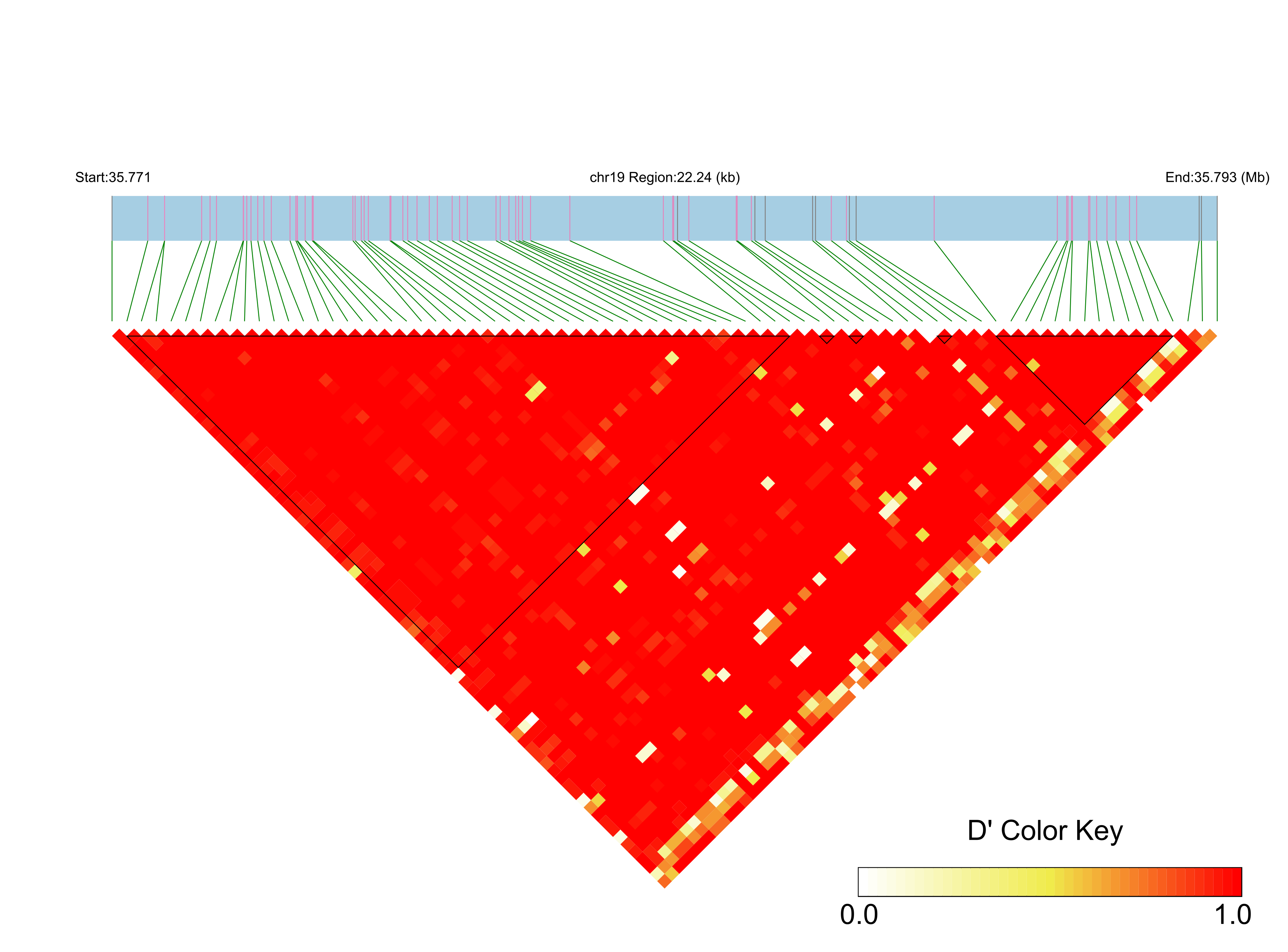 LD