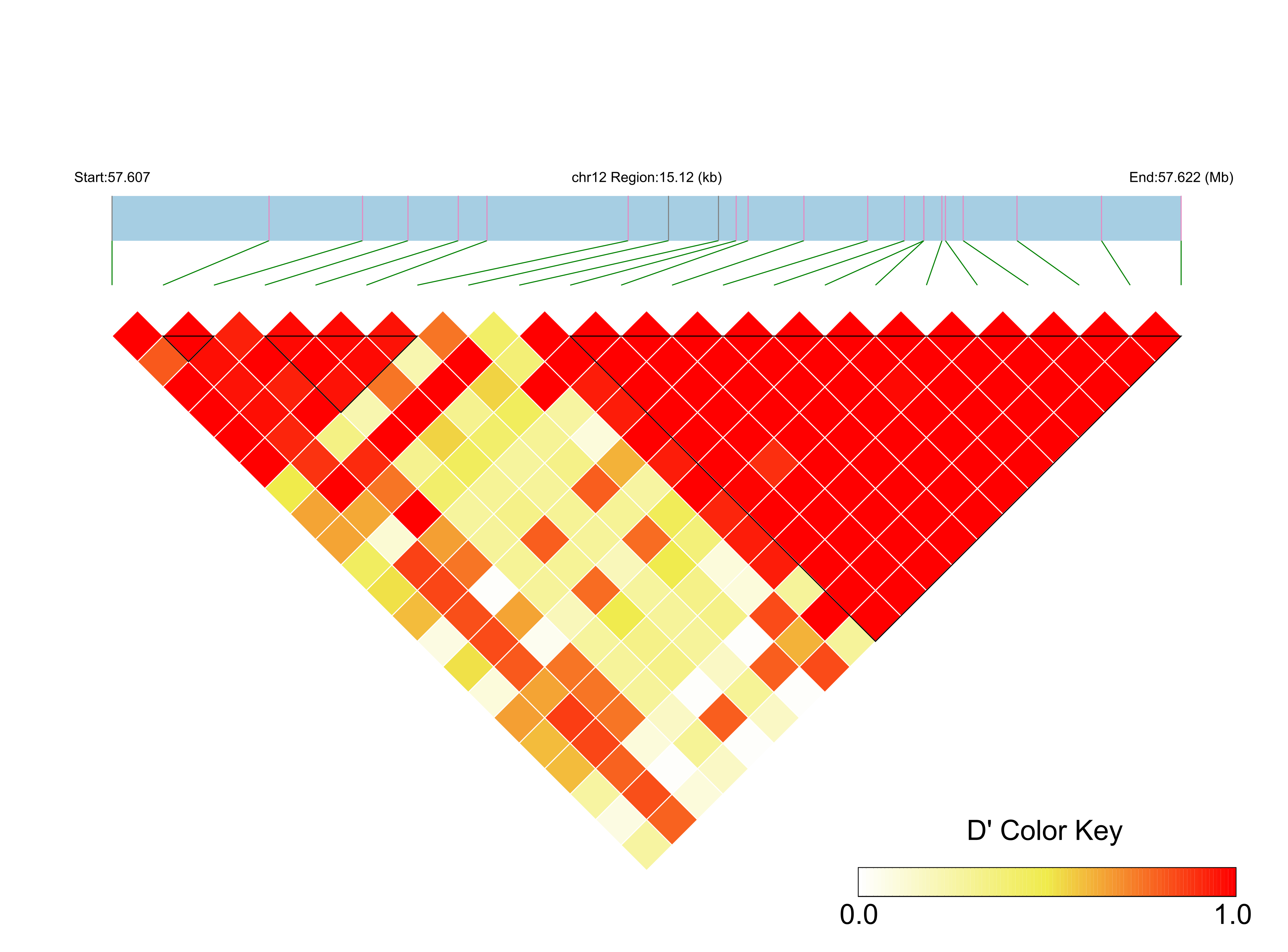 LD