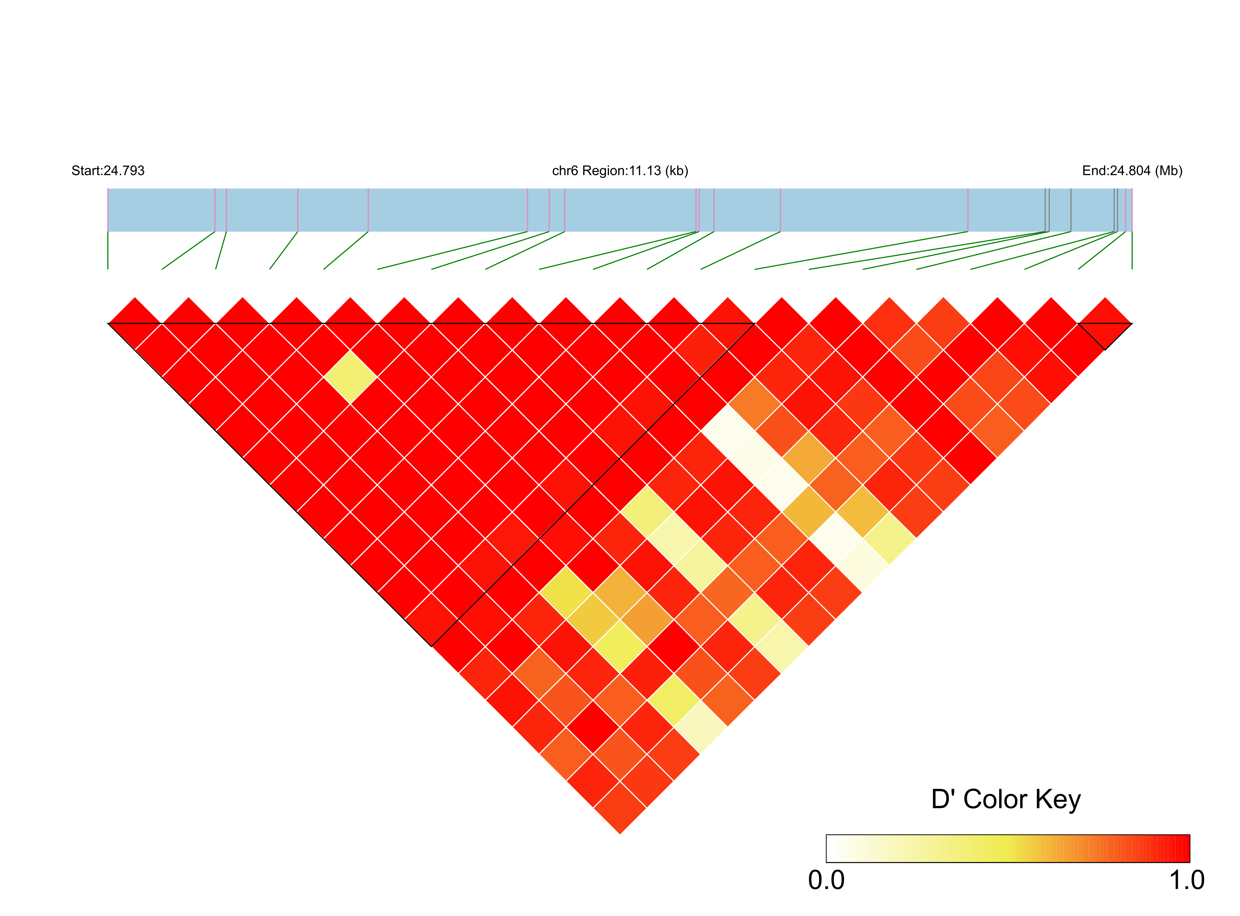 LD