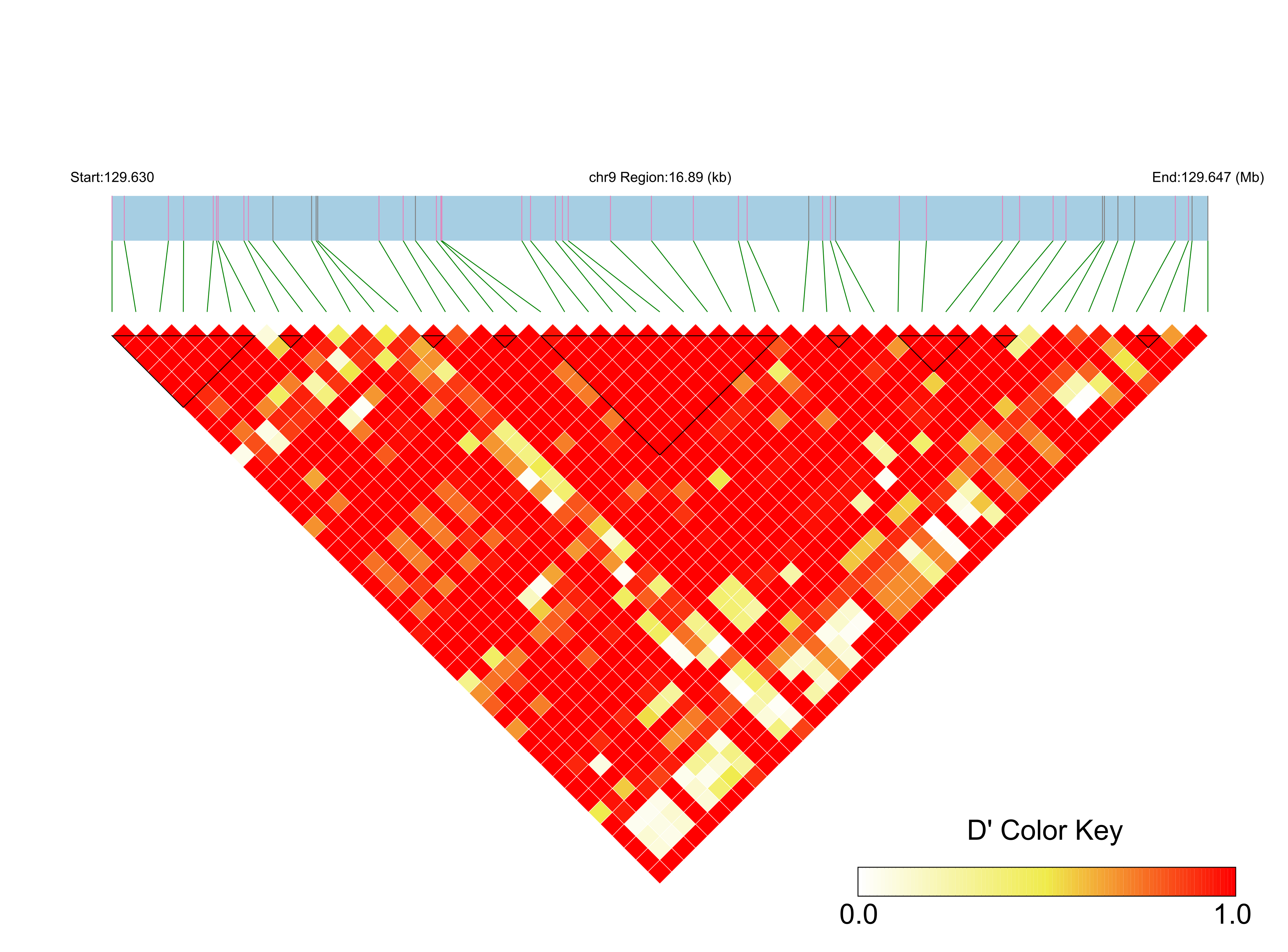LD
