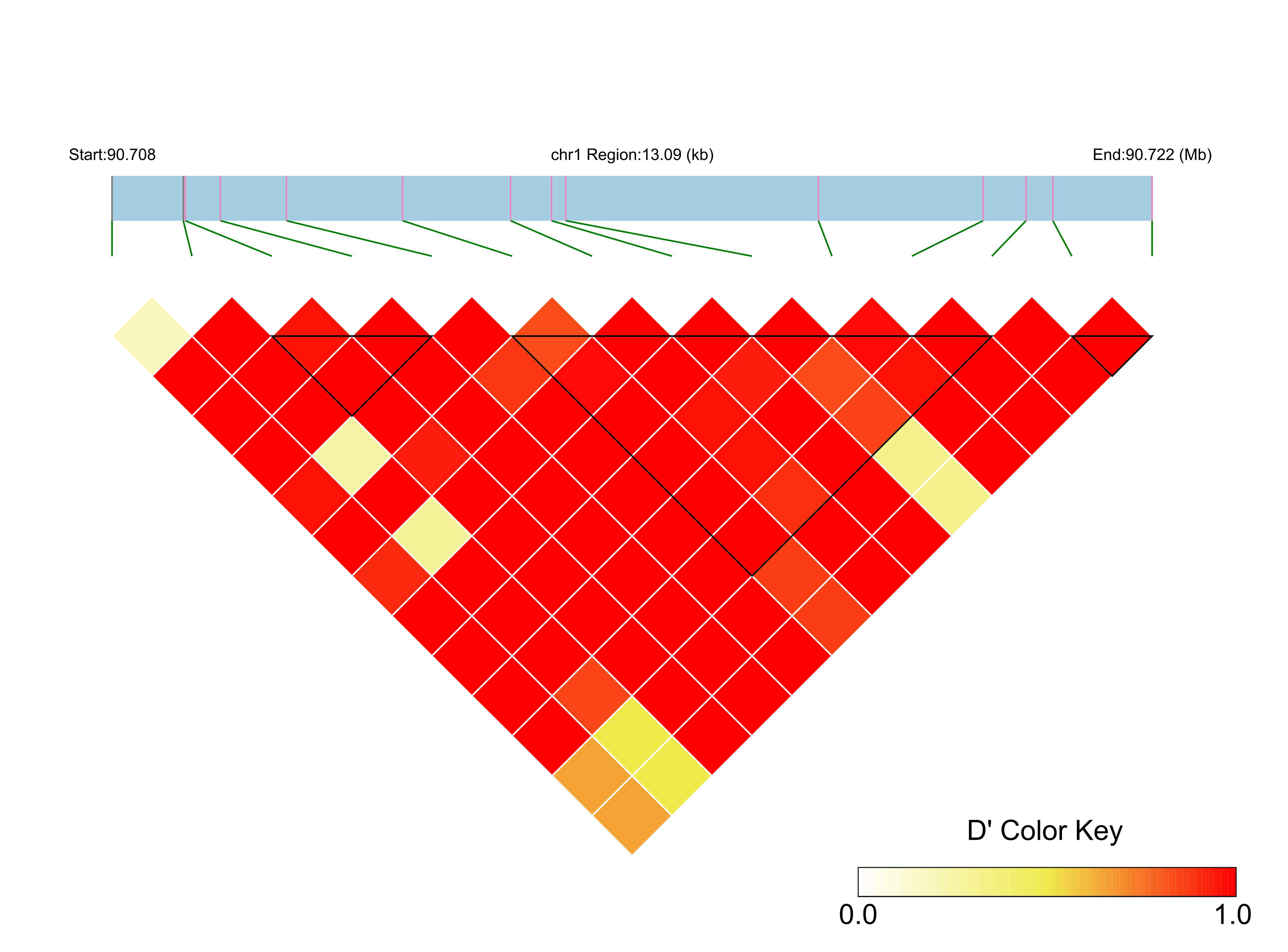 LD