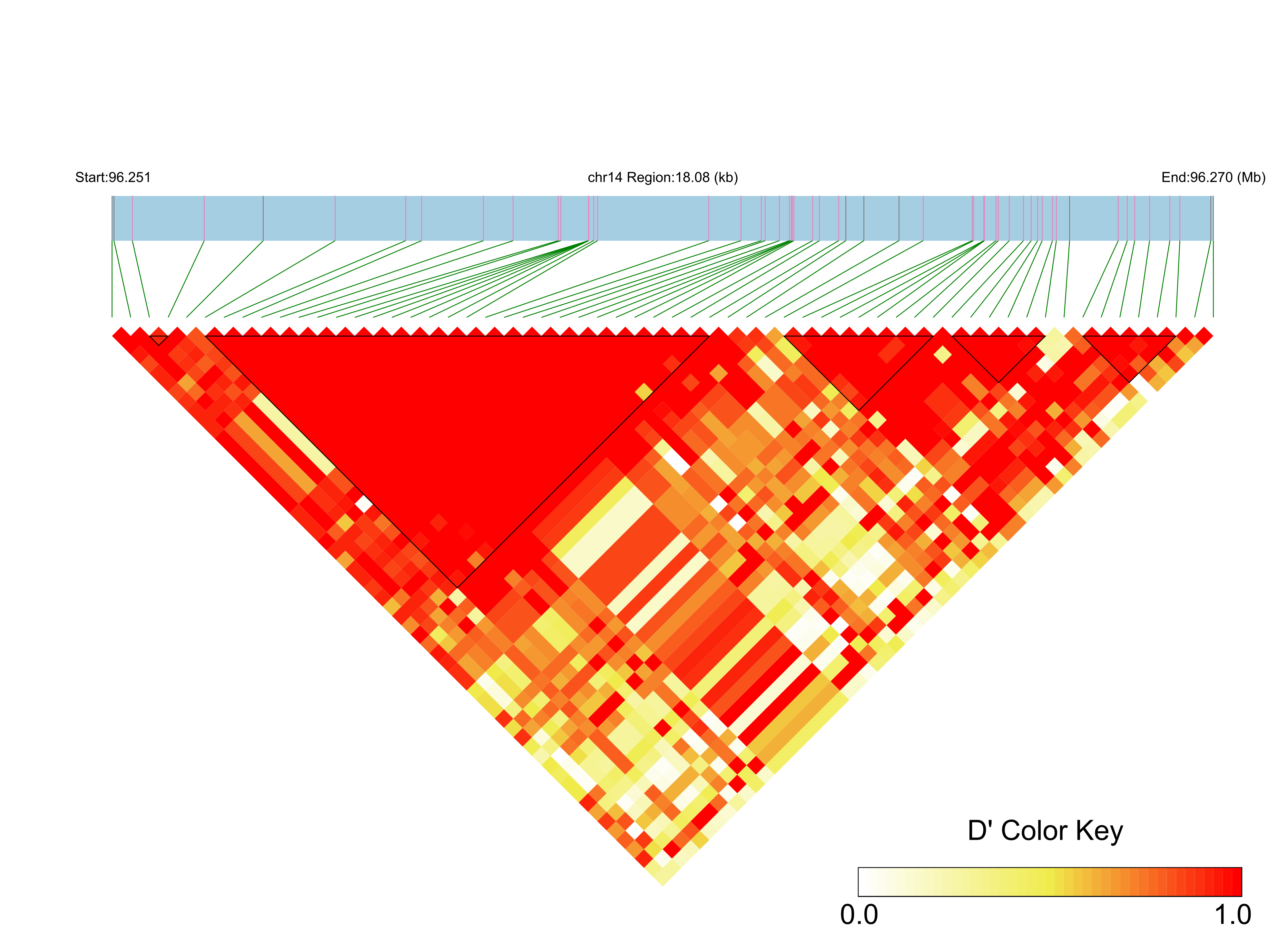 LD