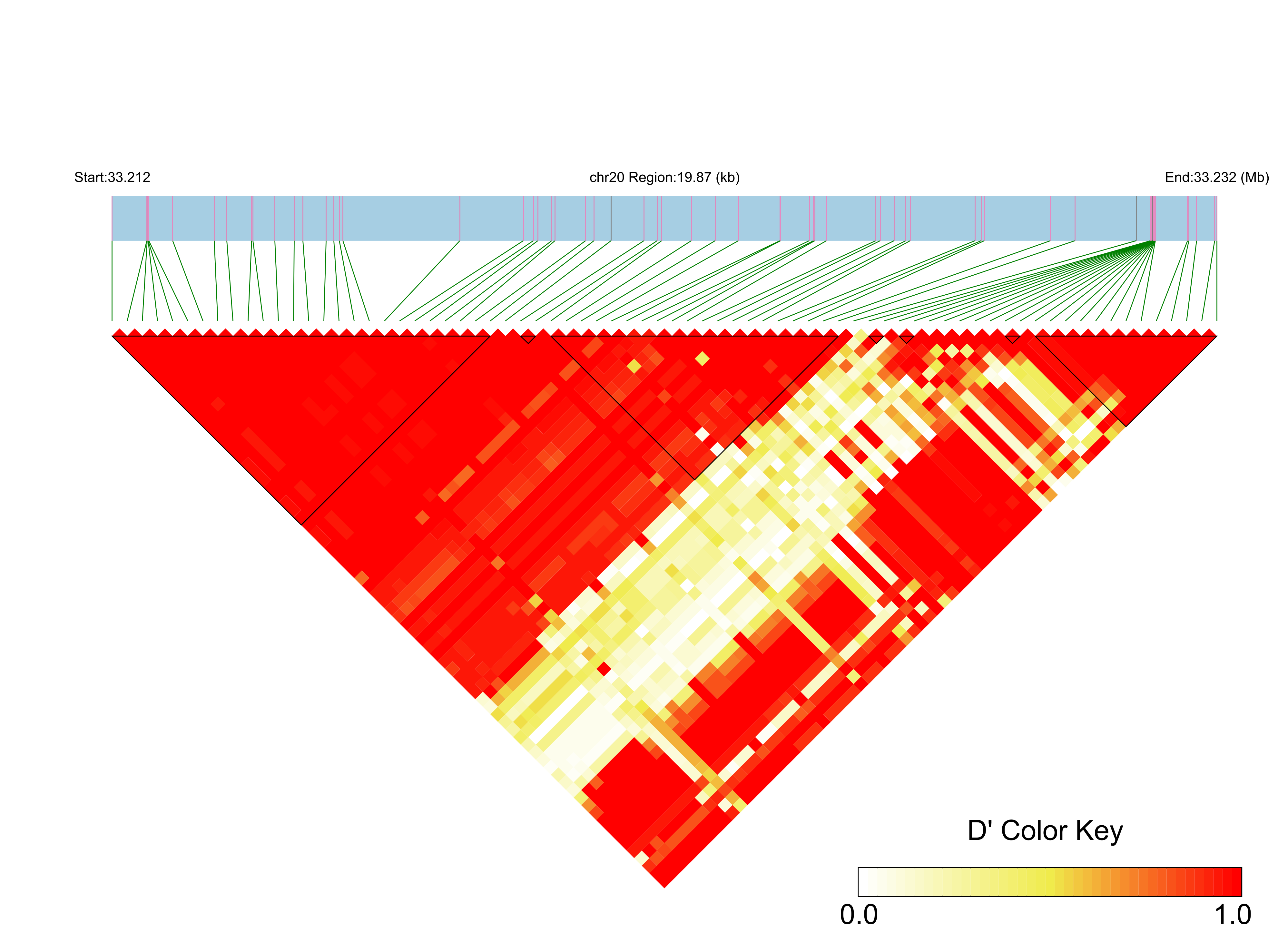 LD