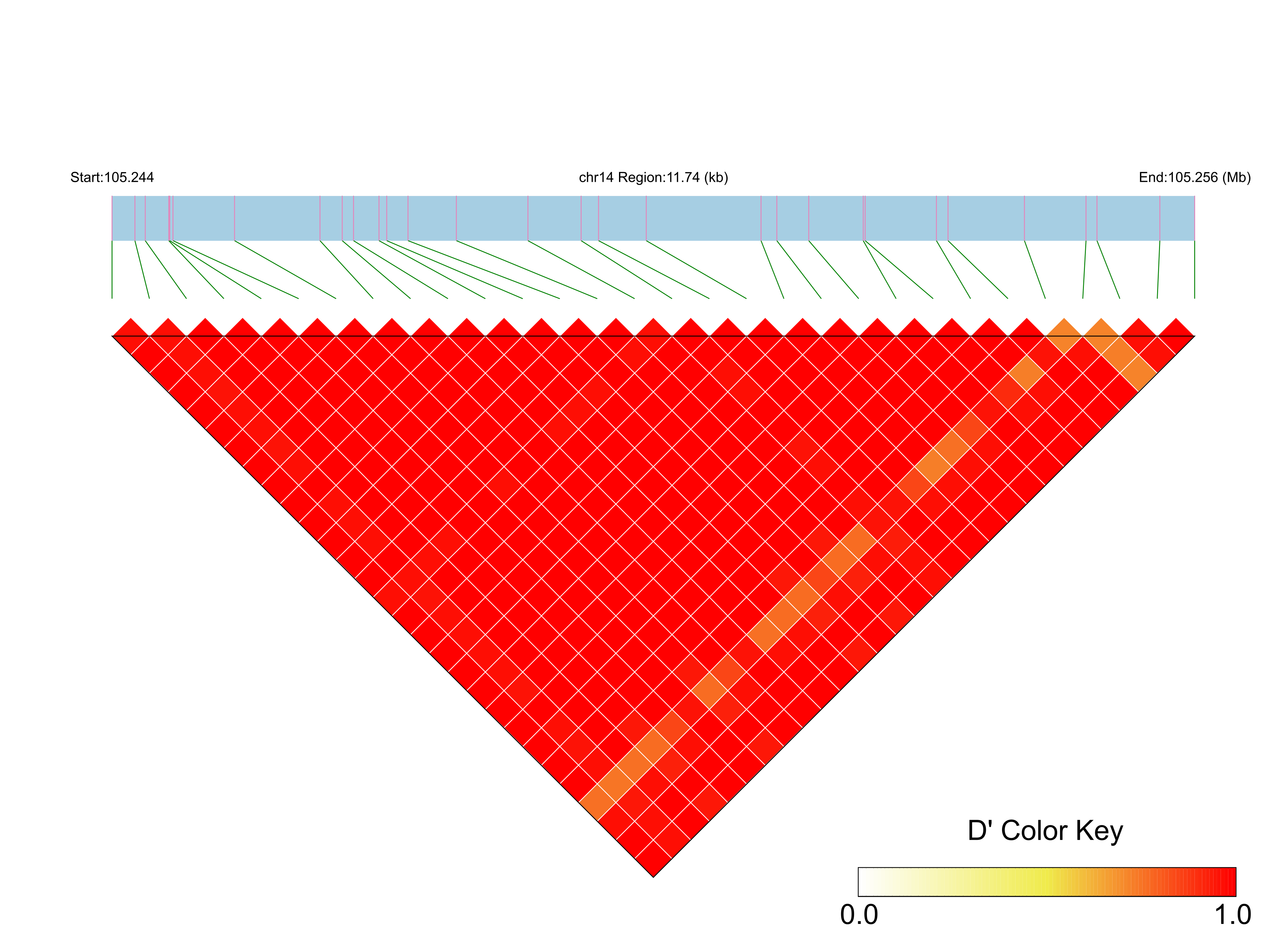 LD