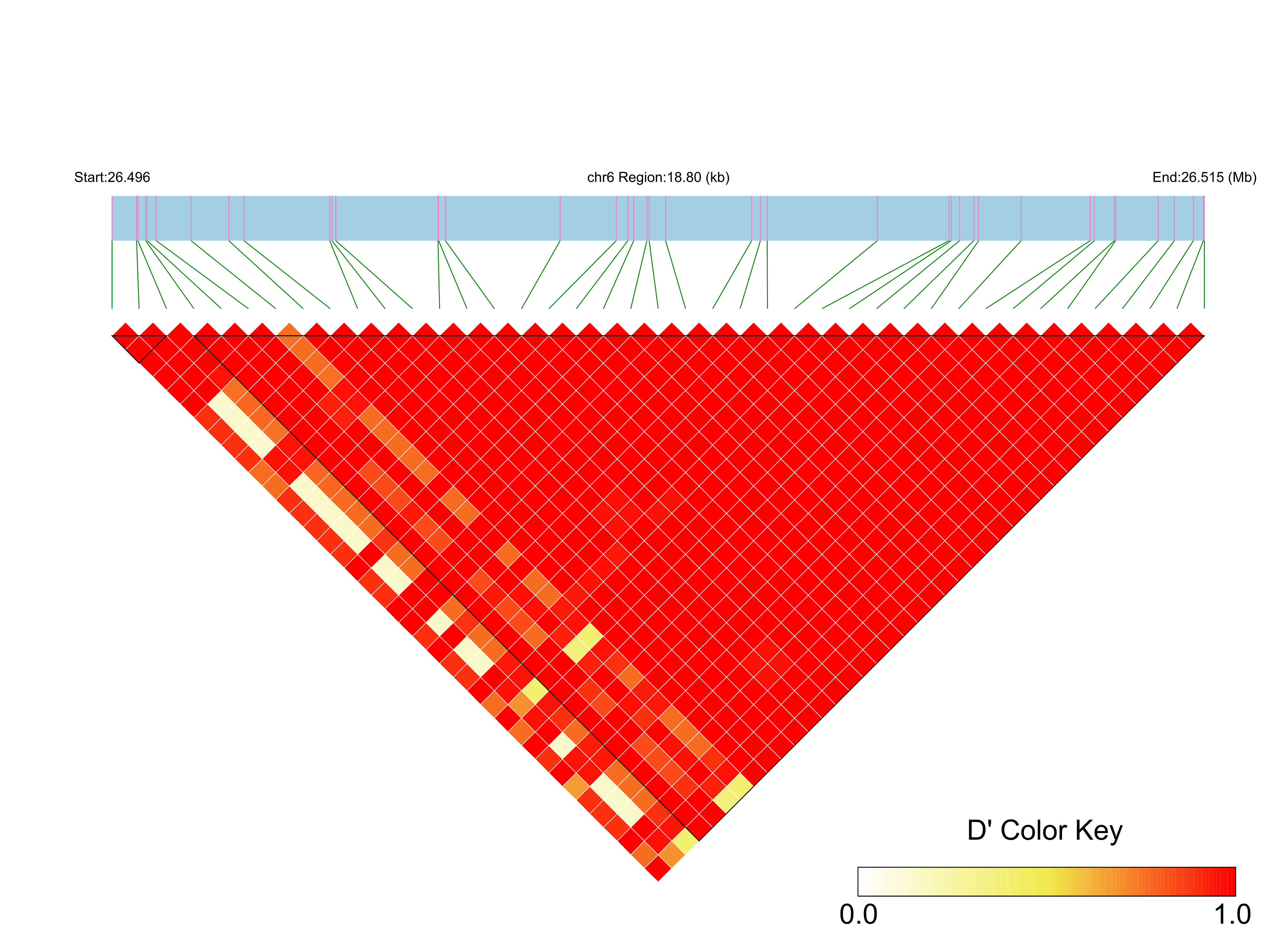 LD